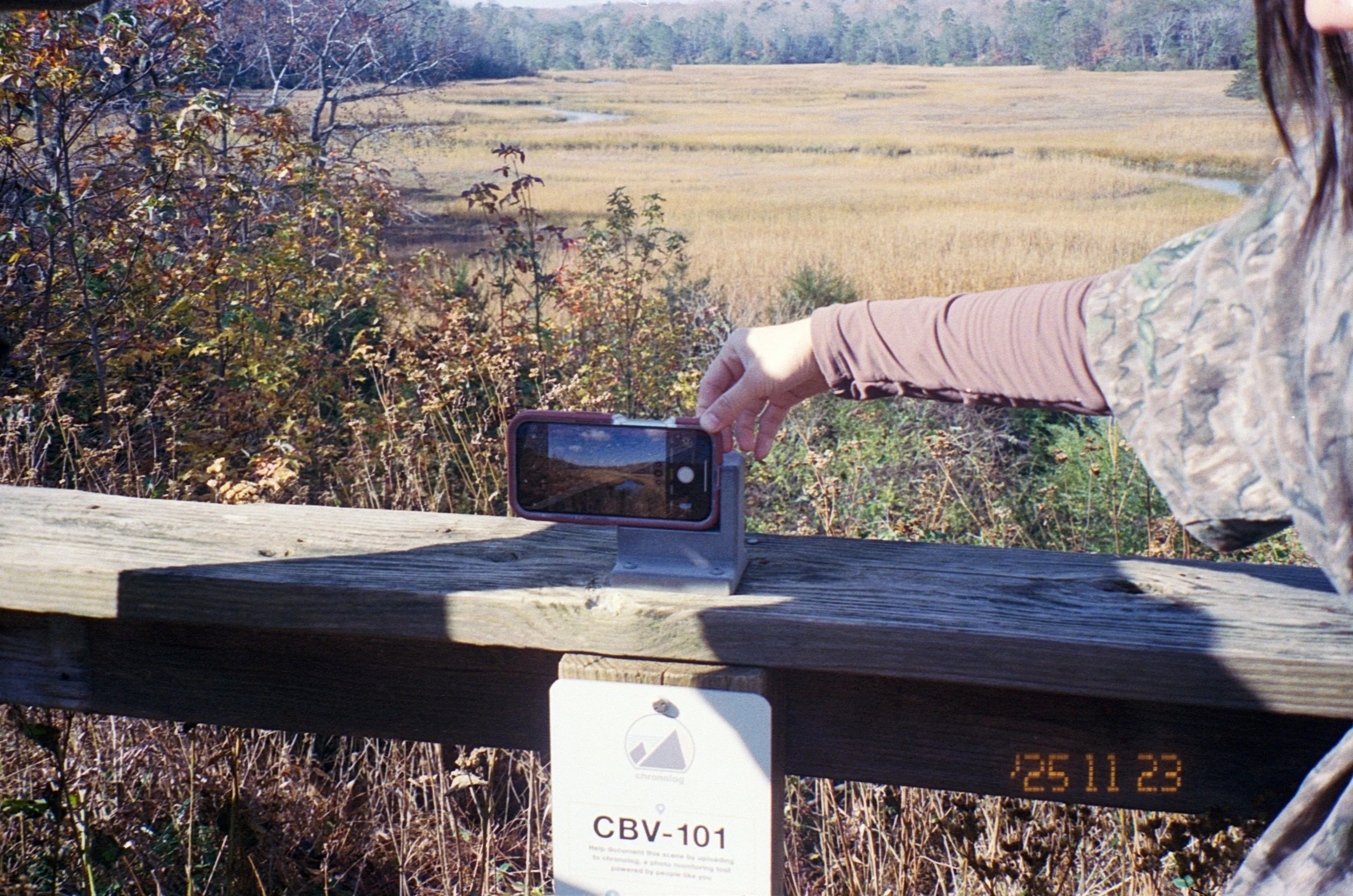 a leisure hike in york river state park, disappointing lack of mushrooms this close to the river