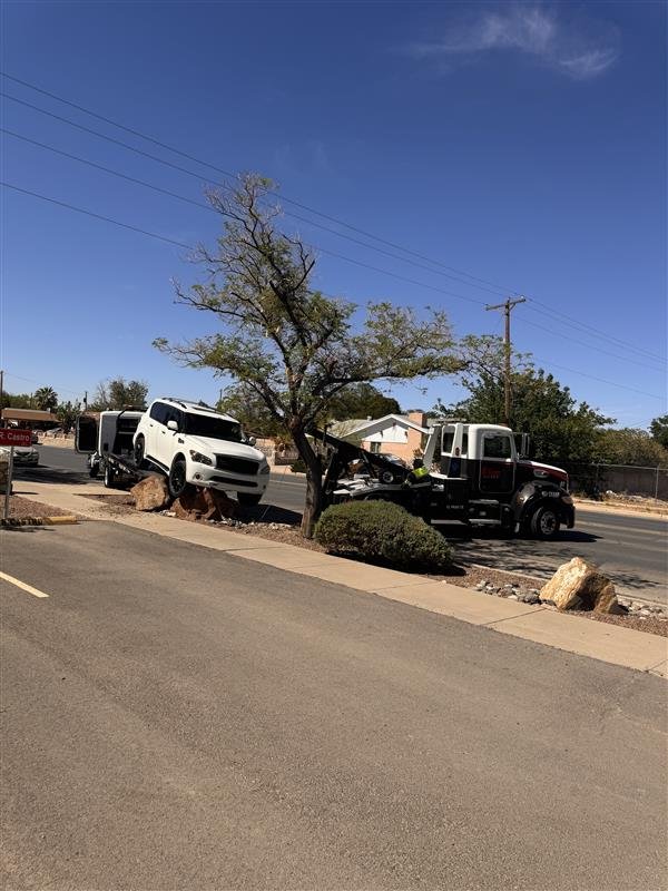Traffic accident involving a white SUV and a truck on a street with a tree and some bushes.