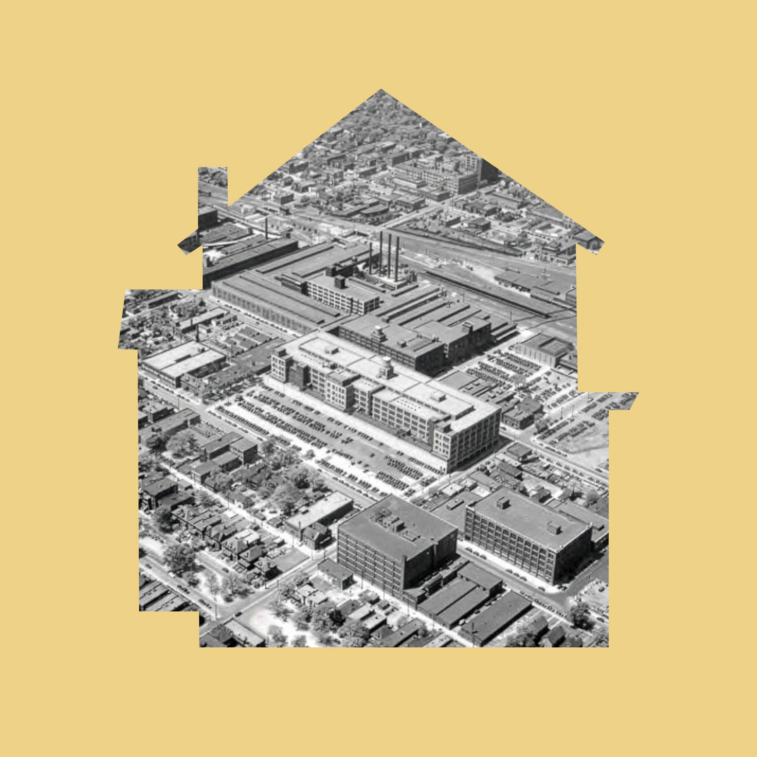 20260206_DFO_Real Tak_1x1_v027.jpg