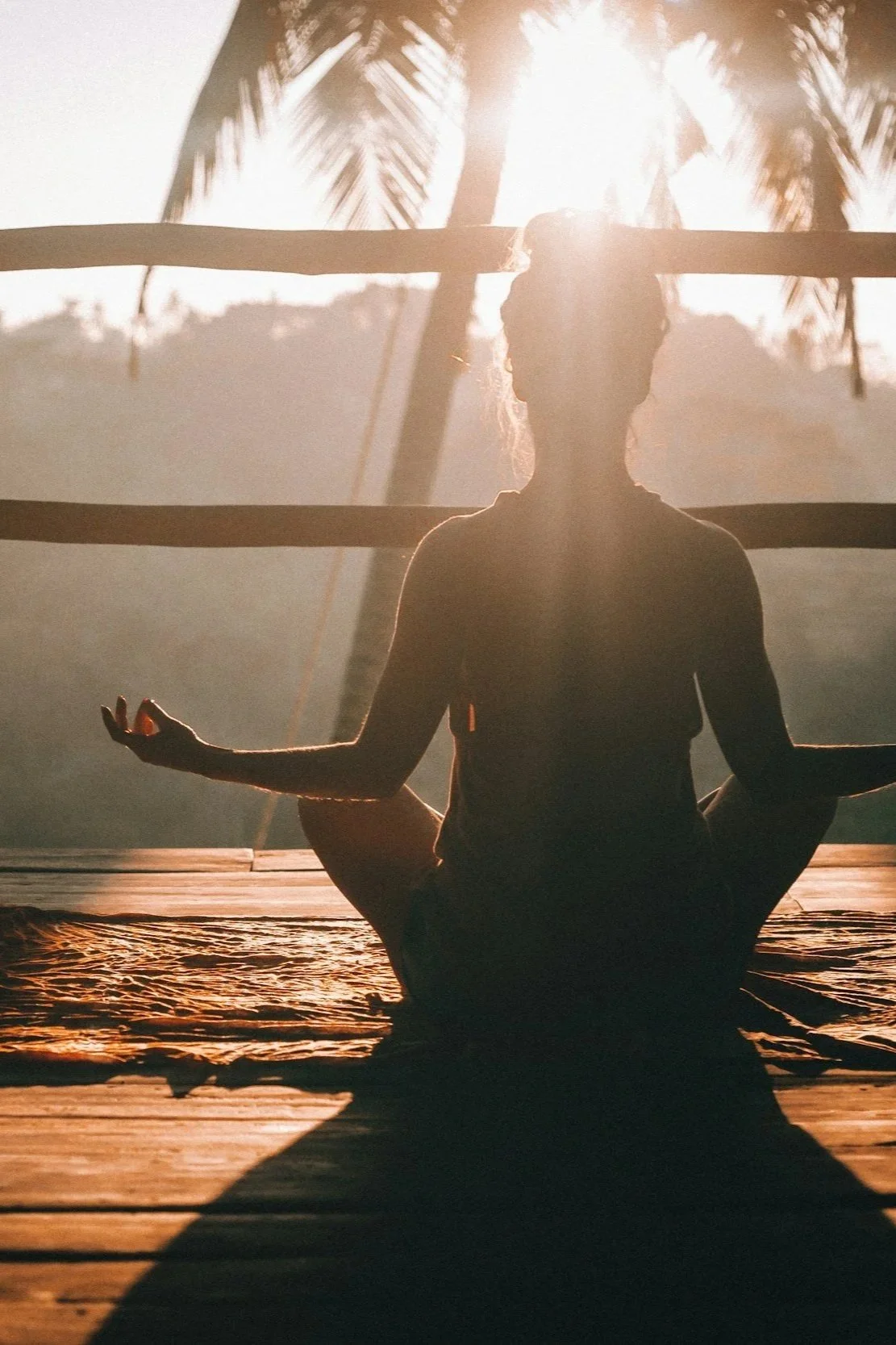 Silhouette of a woman practicing yoga outdoors during sunrise, seated in a lotus position with hands resting on knees, under a palm tree.