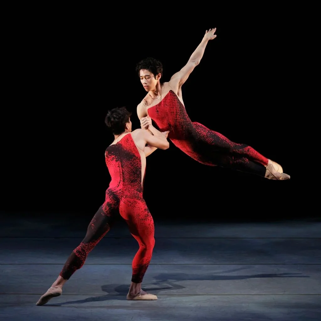 Fortuitous Ash_1_by Erin Baiano.jpeg