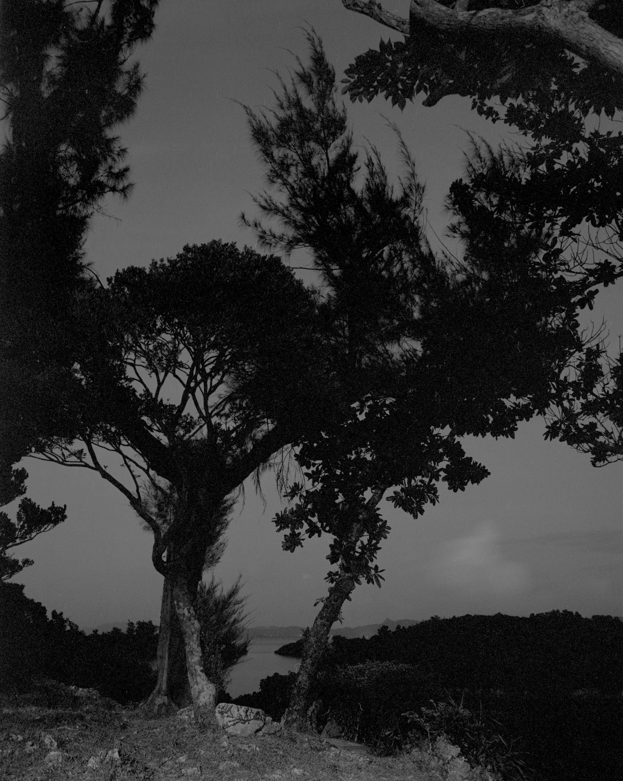 AWOISKA VAN DER MOLEN