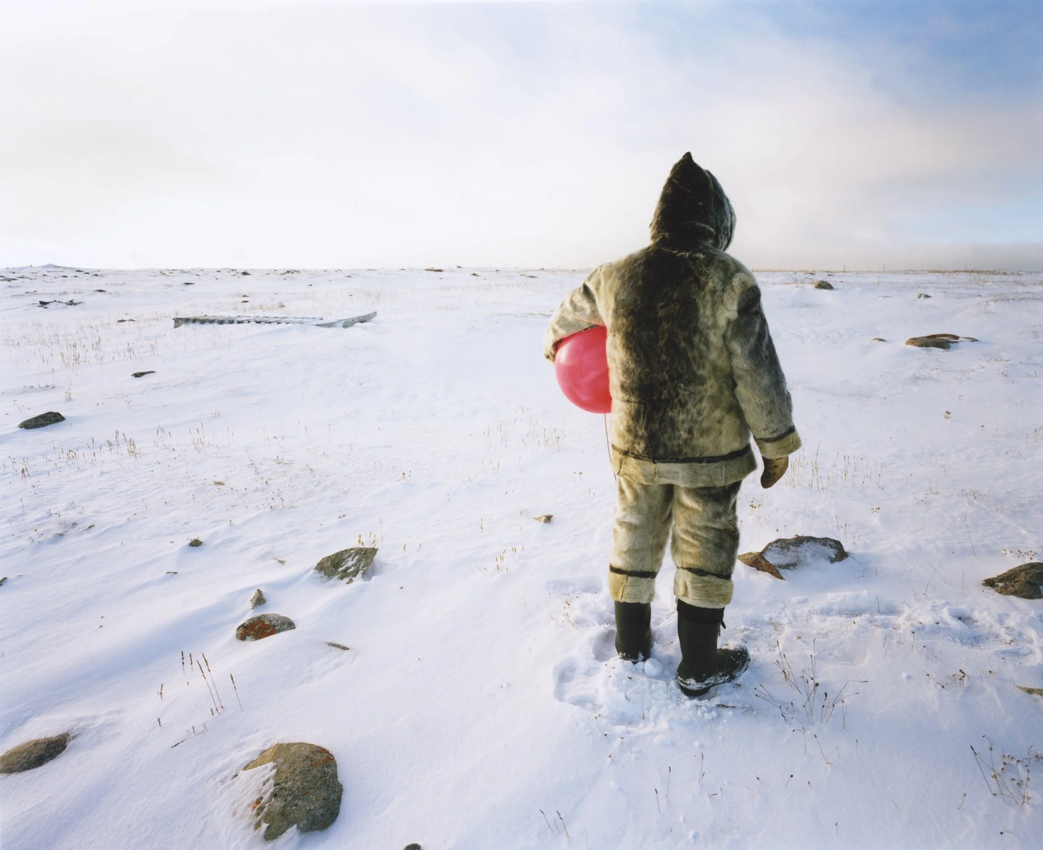 SCARLETT HOOFTGRAAFLAND