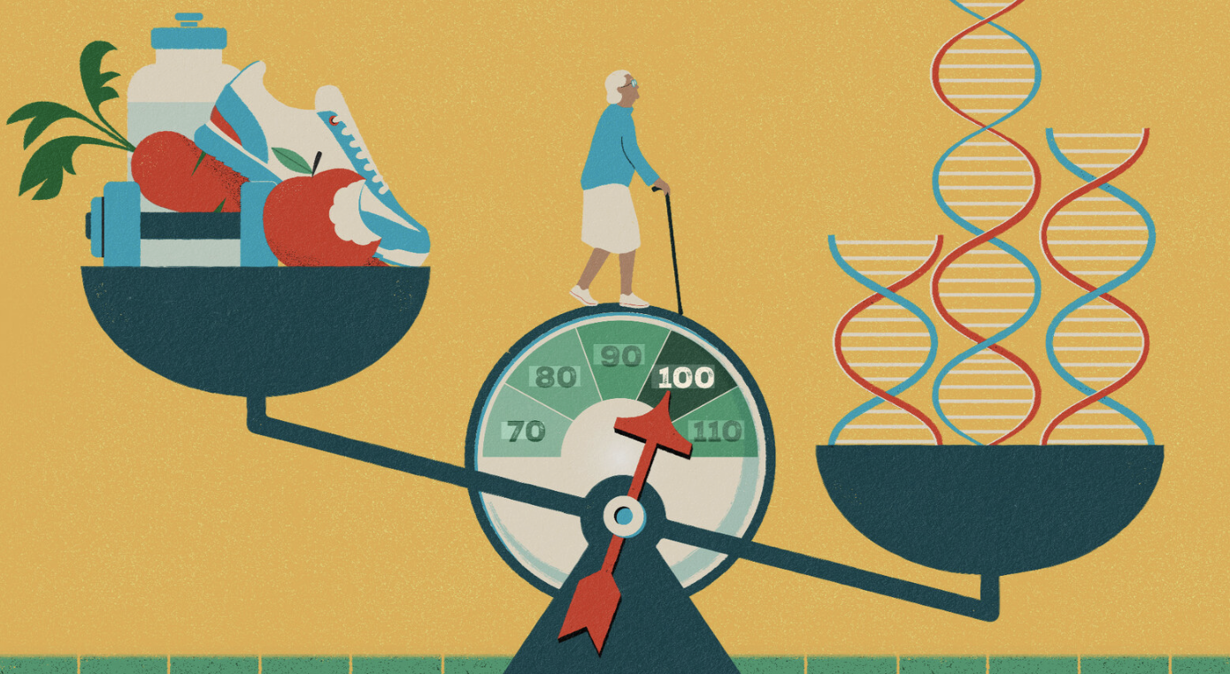 Subjective vs Objective Health