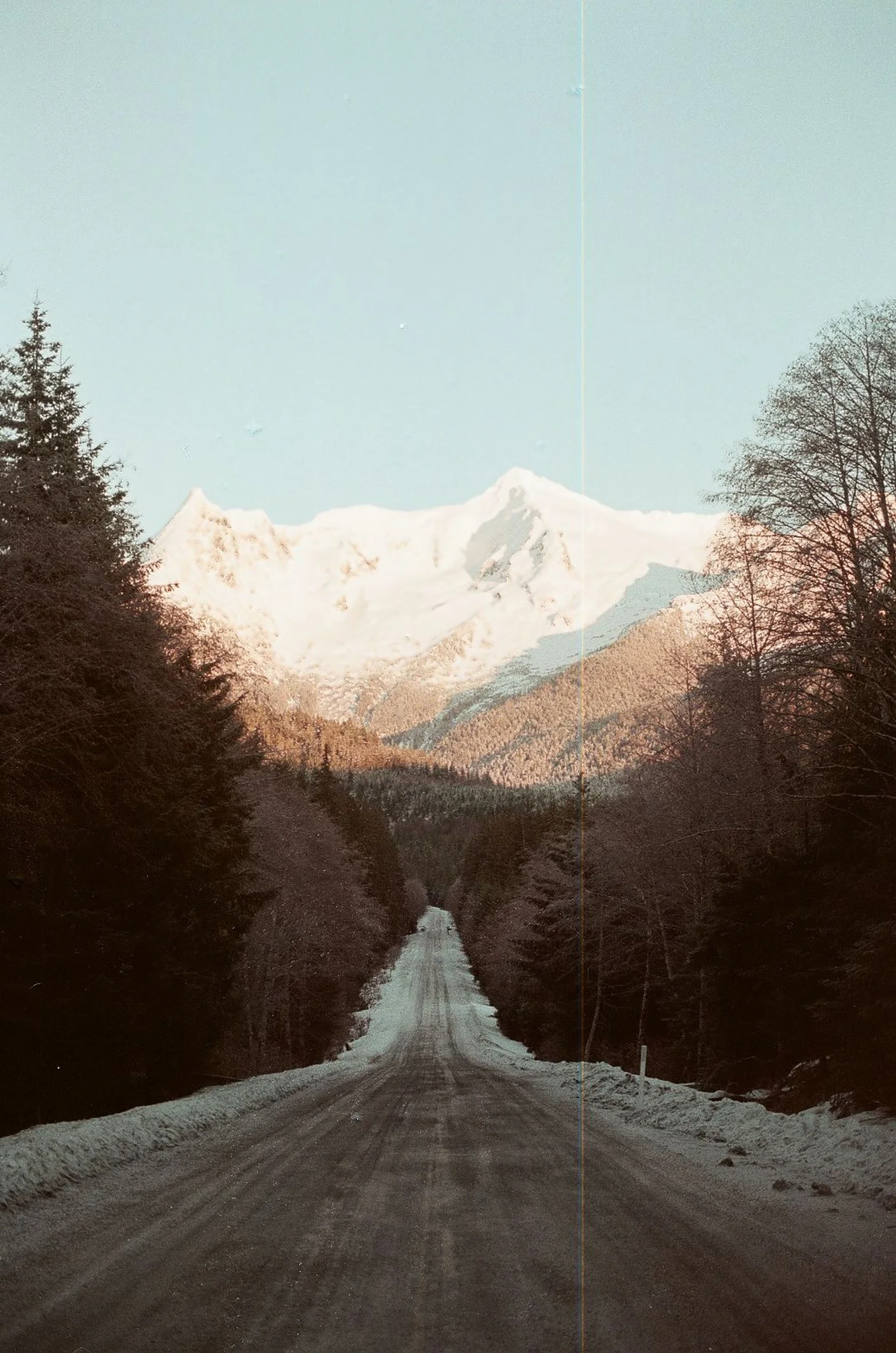 Healthy Aging and Longevity Consult