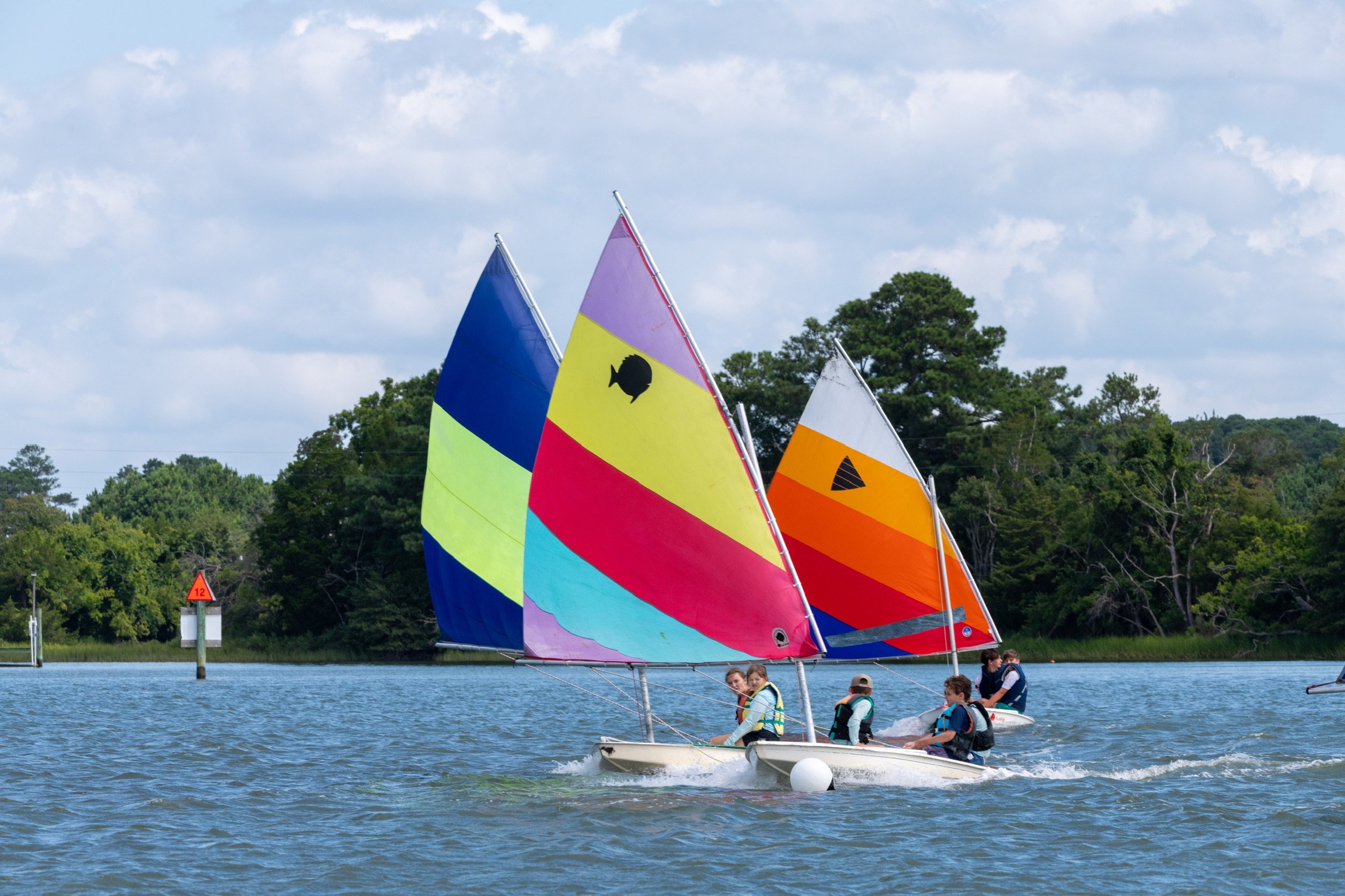 DSC_8041.jpeg