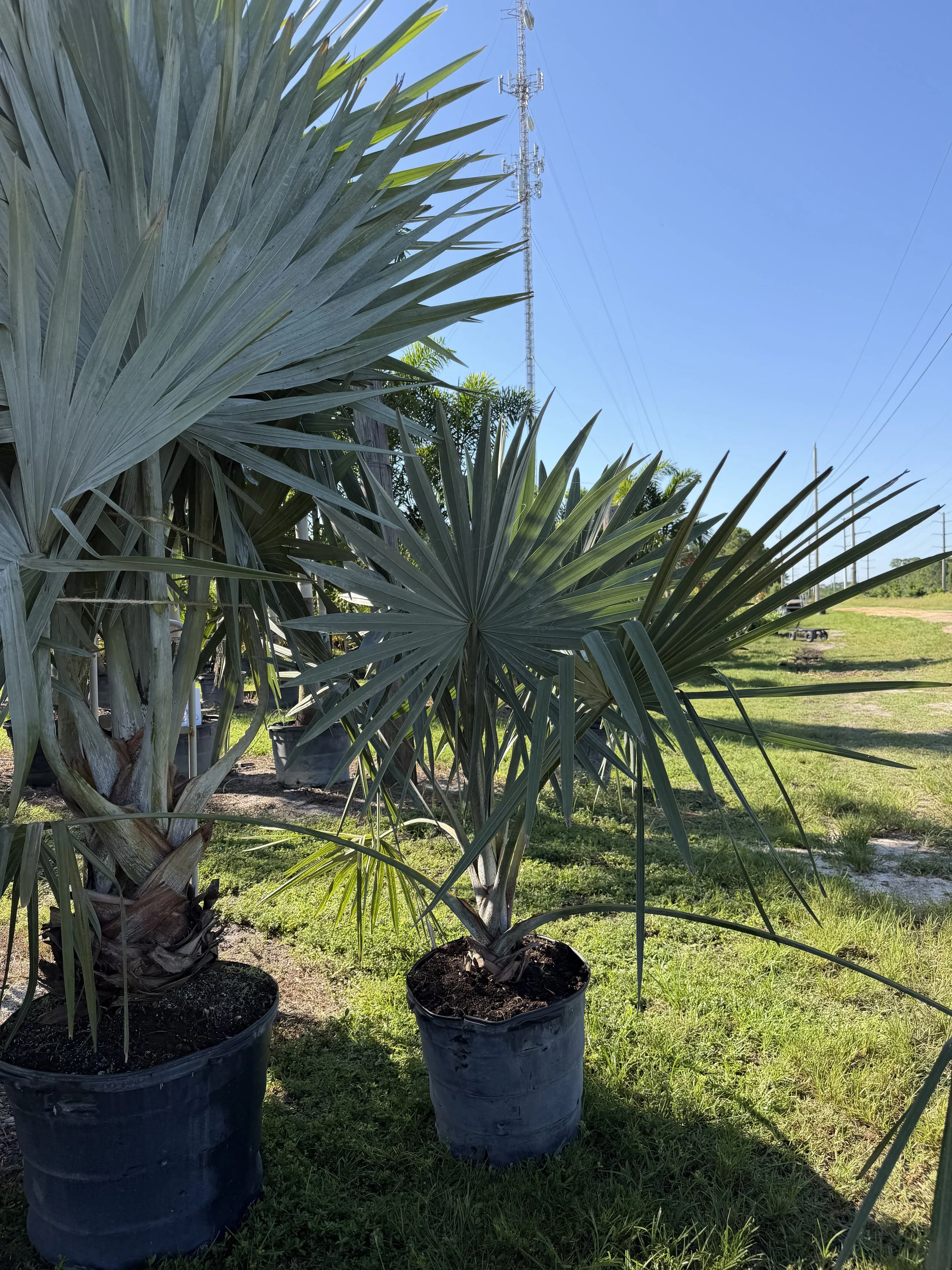 IMG_4078.jpeg