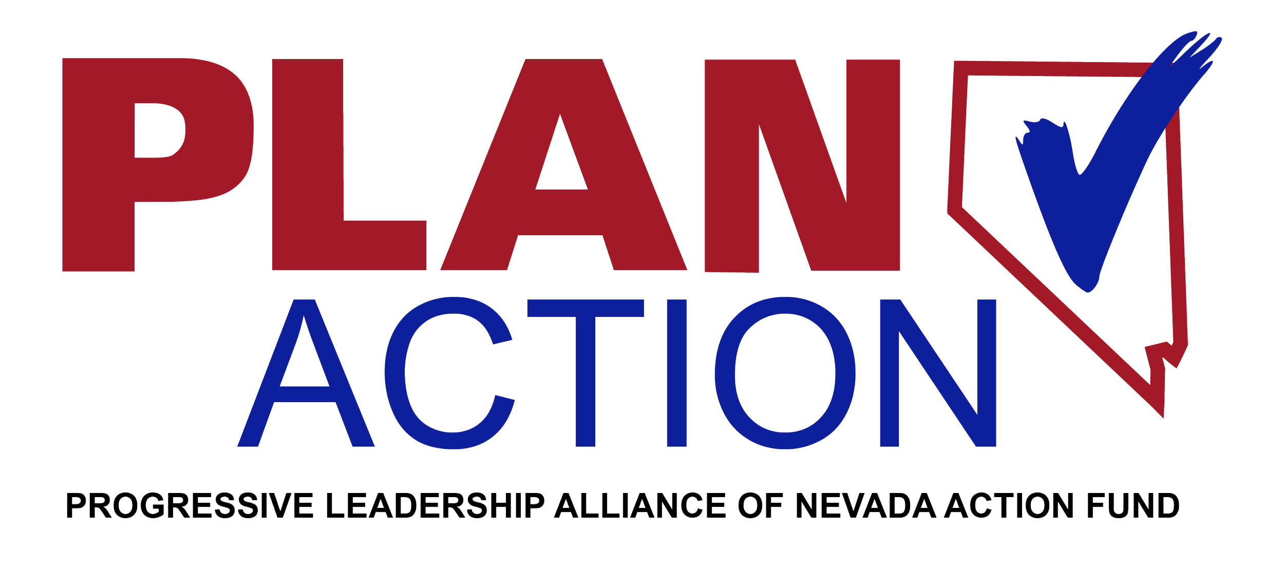 PLAN_action_hi_res (1).png