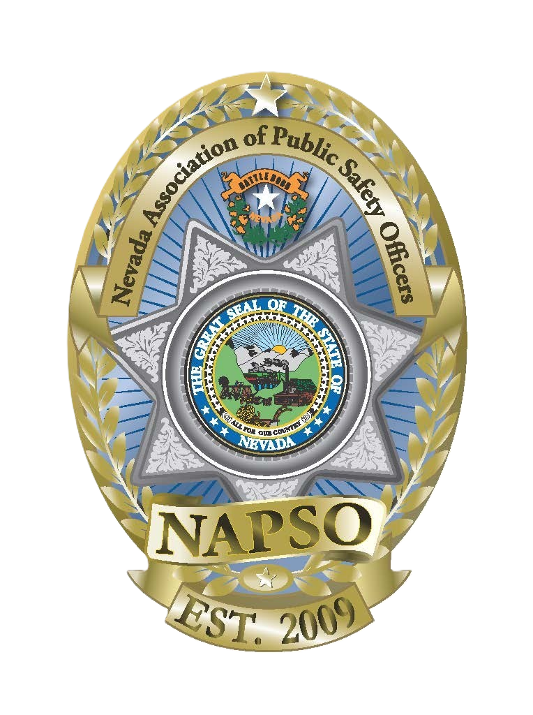 Logo - NAPSO.Est 2009.png