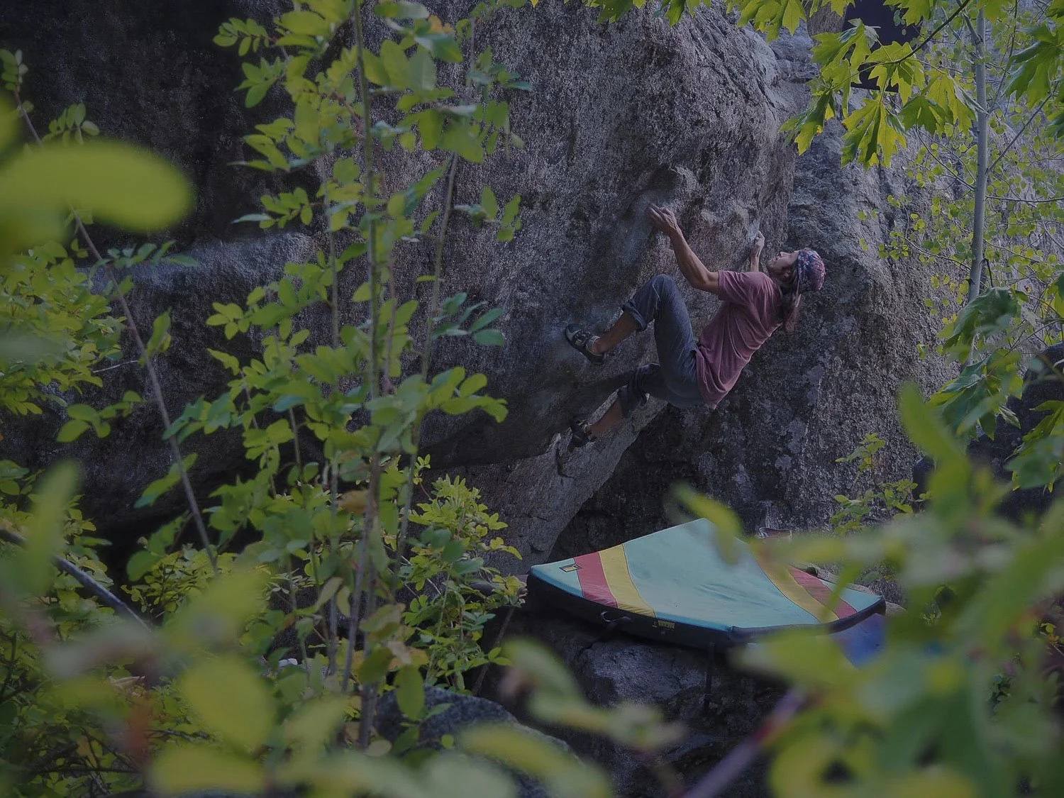 A woman rocks climbing on a large boulder surrounded by trees and greenery, with a padded mat below for safety.