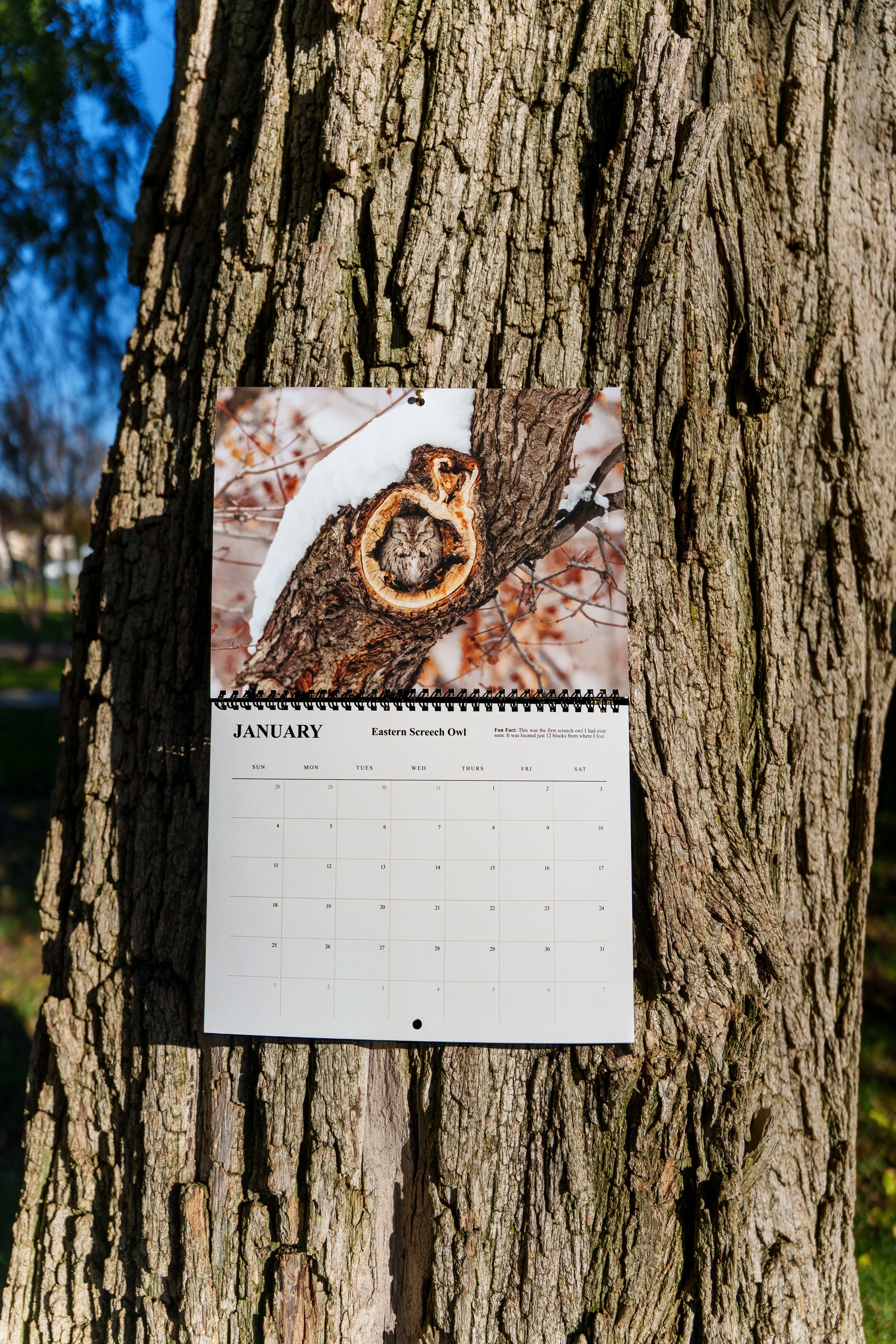 calendar marketing-3.jpeg