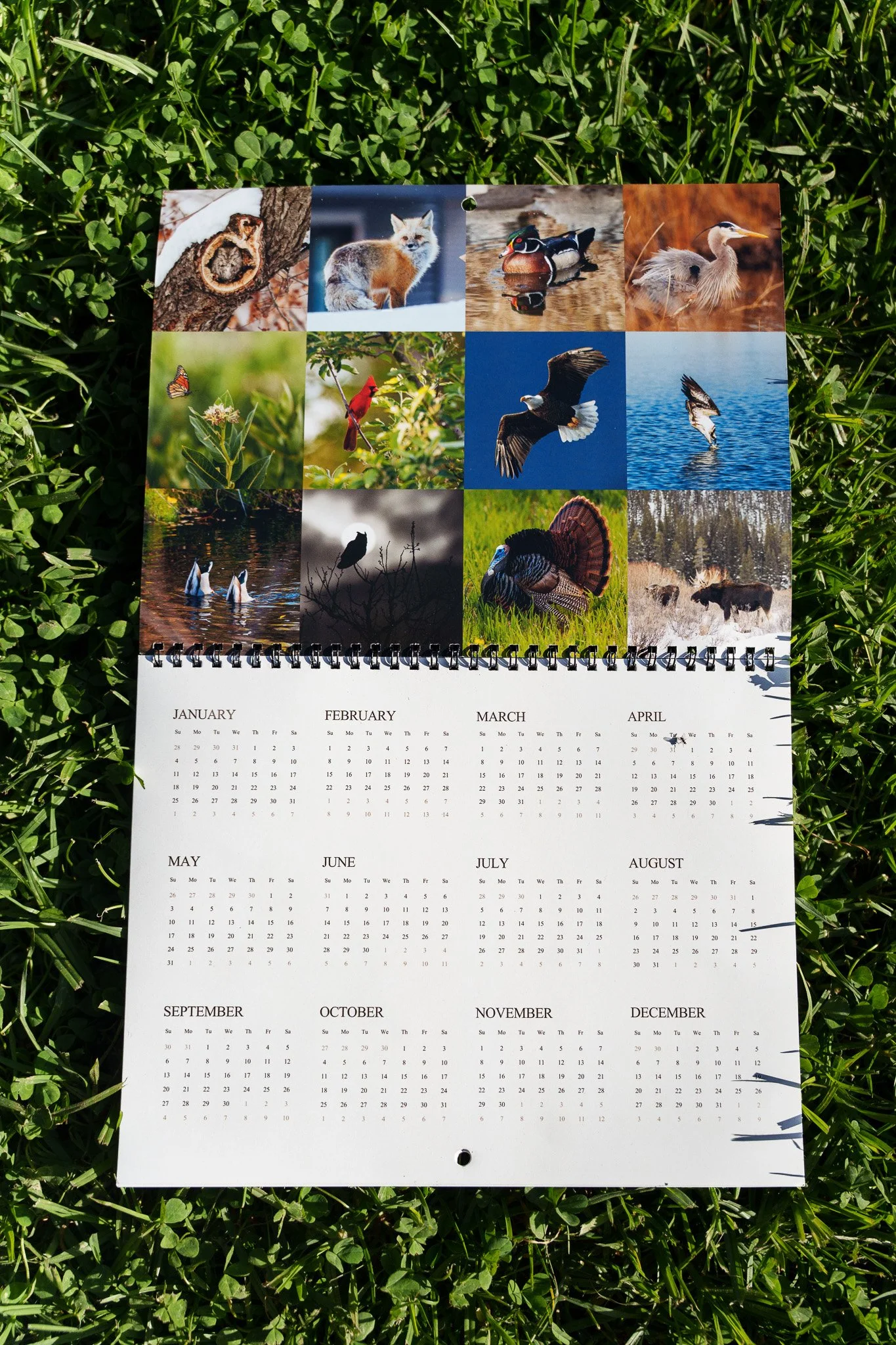 calendar marketing-16-2.jpg