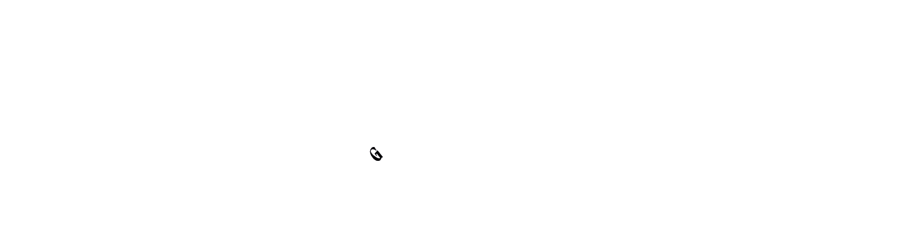 THE GUILD