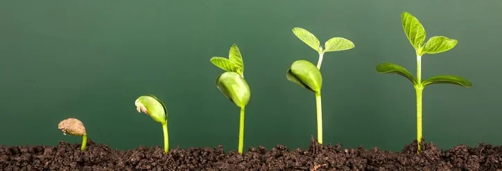 Diversifying your charity’s income