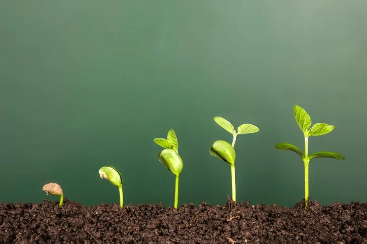 Small charities need more help and here’s why