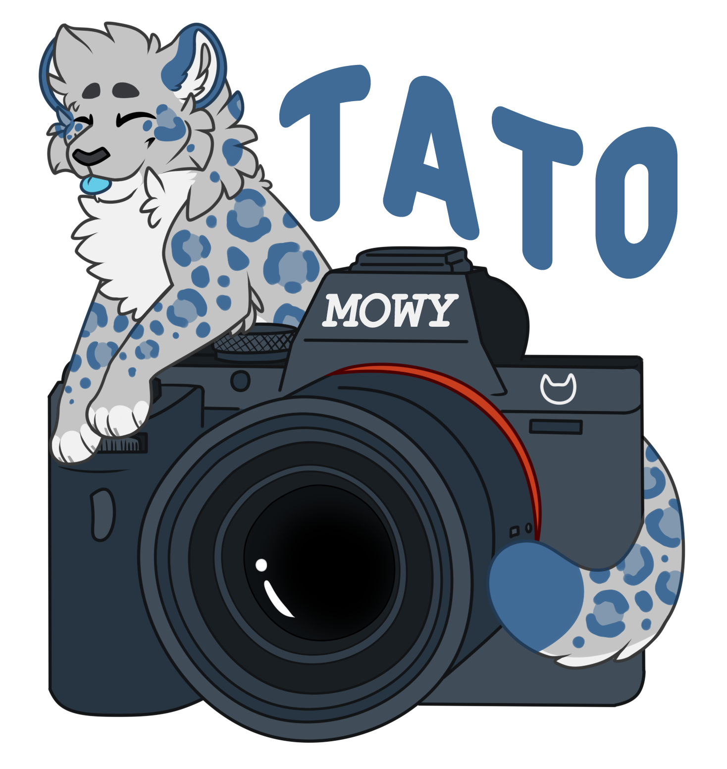 tato camera2 (2).png
