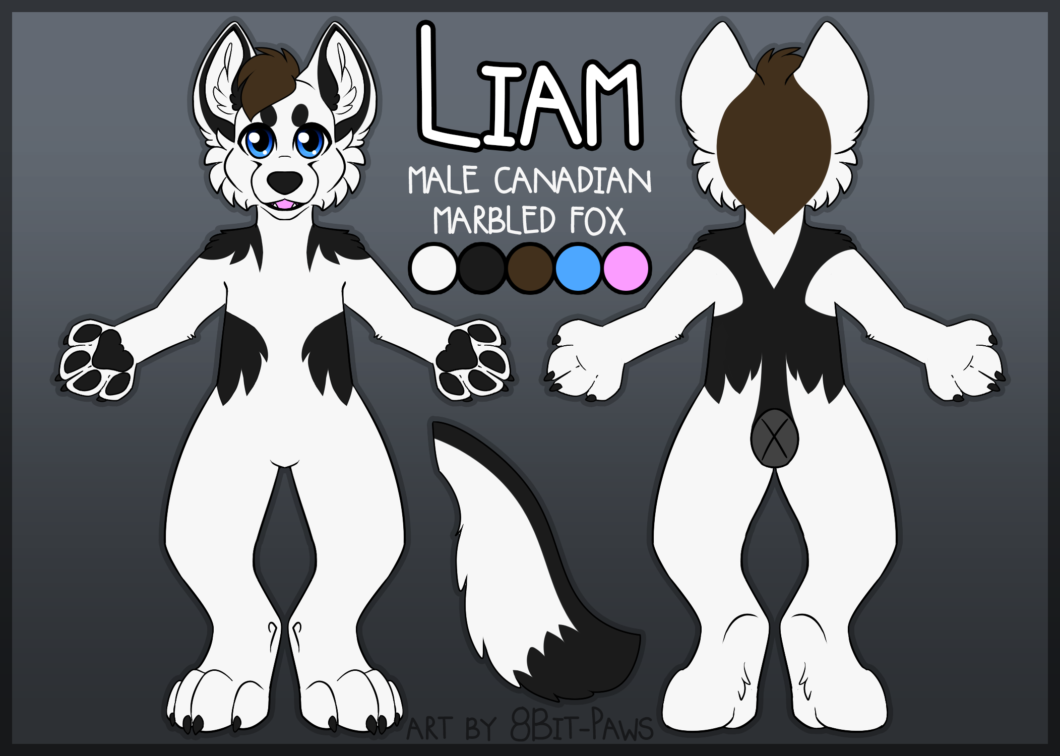 Liam Fursuit reference sheet - full res.png