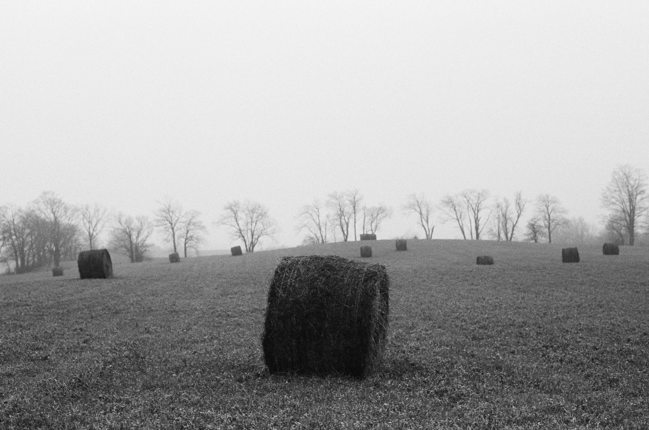 A black-and-white photo of a farm field with several hay bales scattered across the grassy landscape, with a line of leafless trees in the background and a foggy sky overhead.