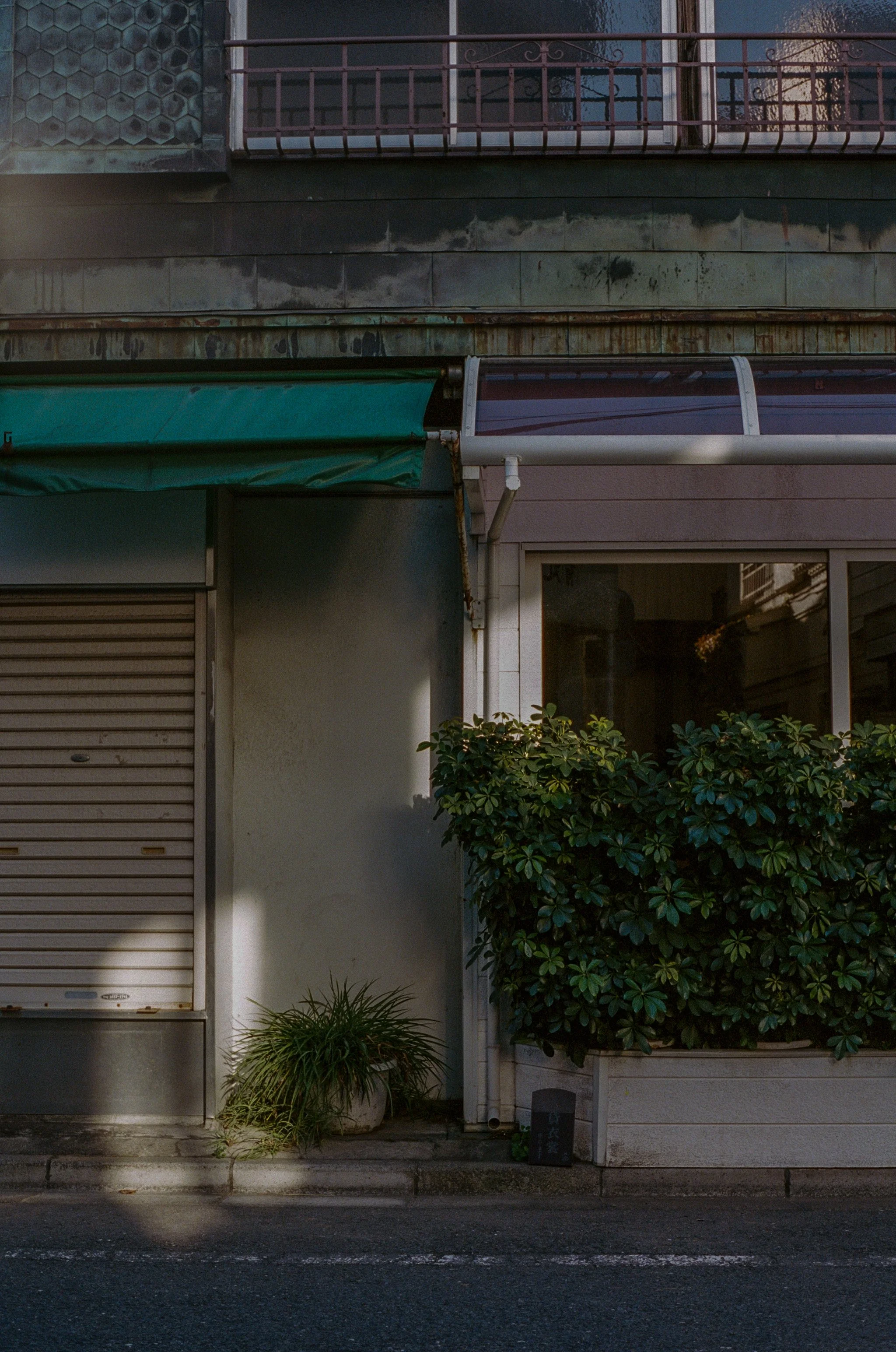 An urban storefront with a closed beige roller shutter, a green awning, a large green bush in a planter, and a small potted plant at the base, with a shadow on the sidewalk.