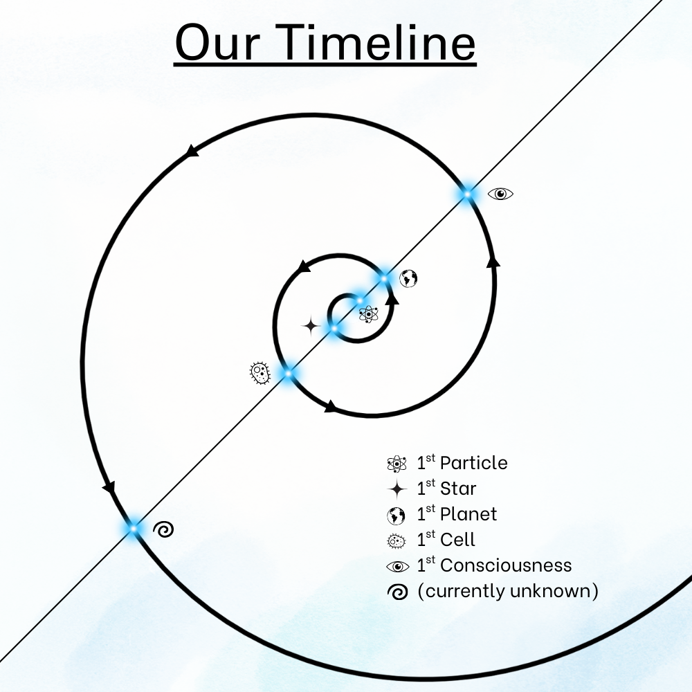 Vortex Time Travel