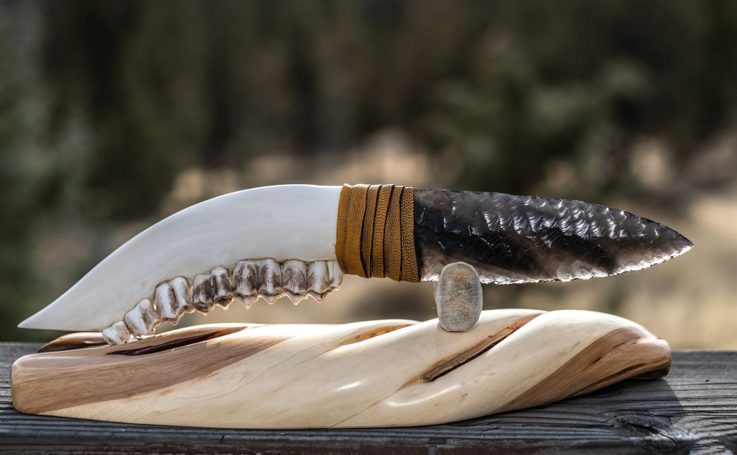 A commanding 12+ inch masterpiece featuring a polished, brilliant-white elk jawbone handle—complete with natural teeth—and a flawless volcanic obsidian blade. Bound in buckskin, each unique knife radiates the strength and grace of the wild elk it hon