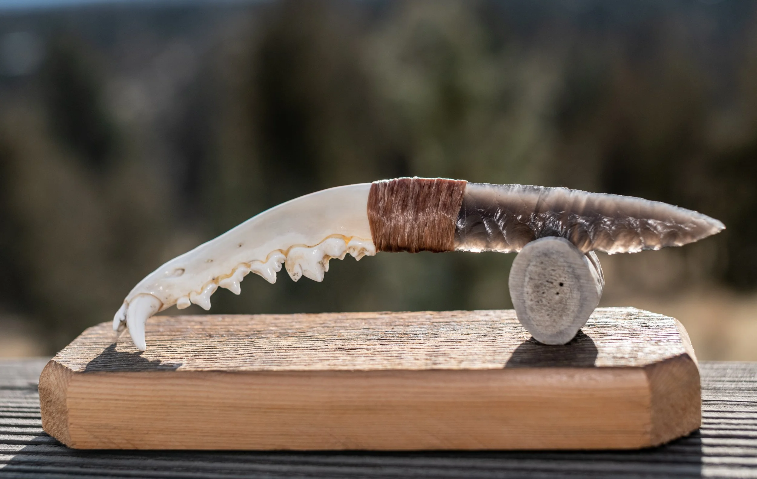Honor your hunt as art.
Send us the jawbone, leg bone, or antlers from your harvest or your favorite shed finds, and we will craft stunning decorative obsidian knives or matched sets made to be displayed and treasured. Any style, any embellishment—be