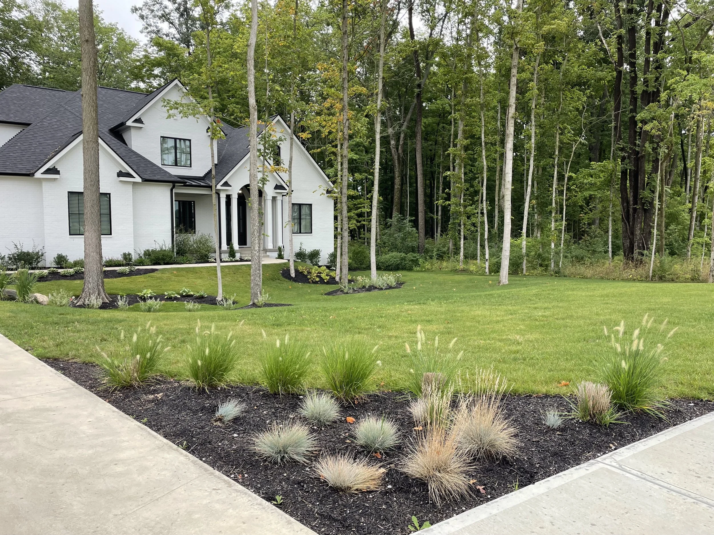Front yard with a new landscaped garden, neatly trimmed grass, mature trees, concrete sidewalk, and a white house with black roof and accents in the background.