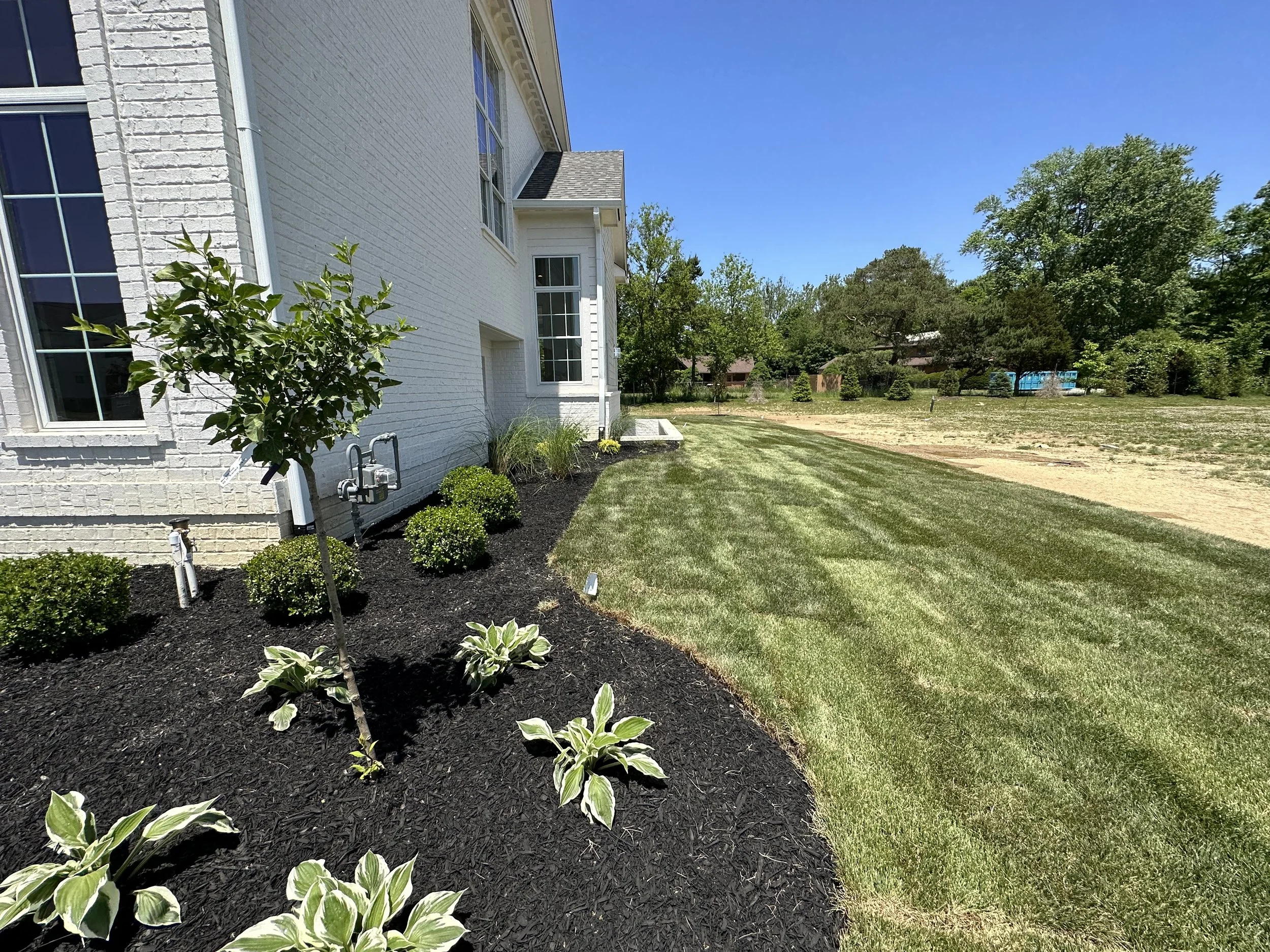 View of front yard with freshly mowed grass, small bushes, a young tree, and a white brick house with large windows on a sunny day.