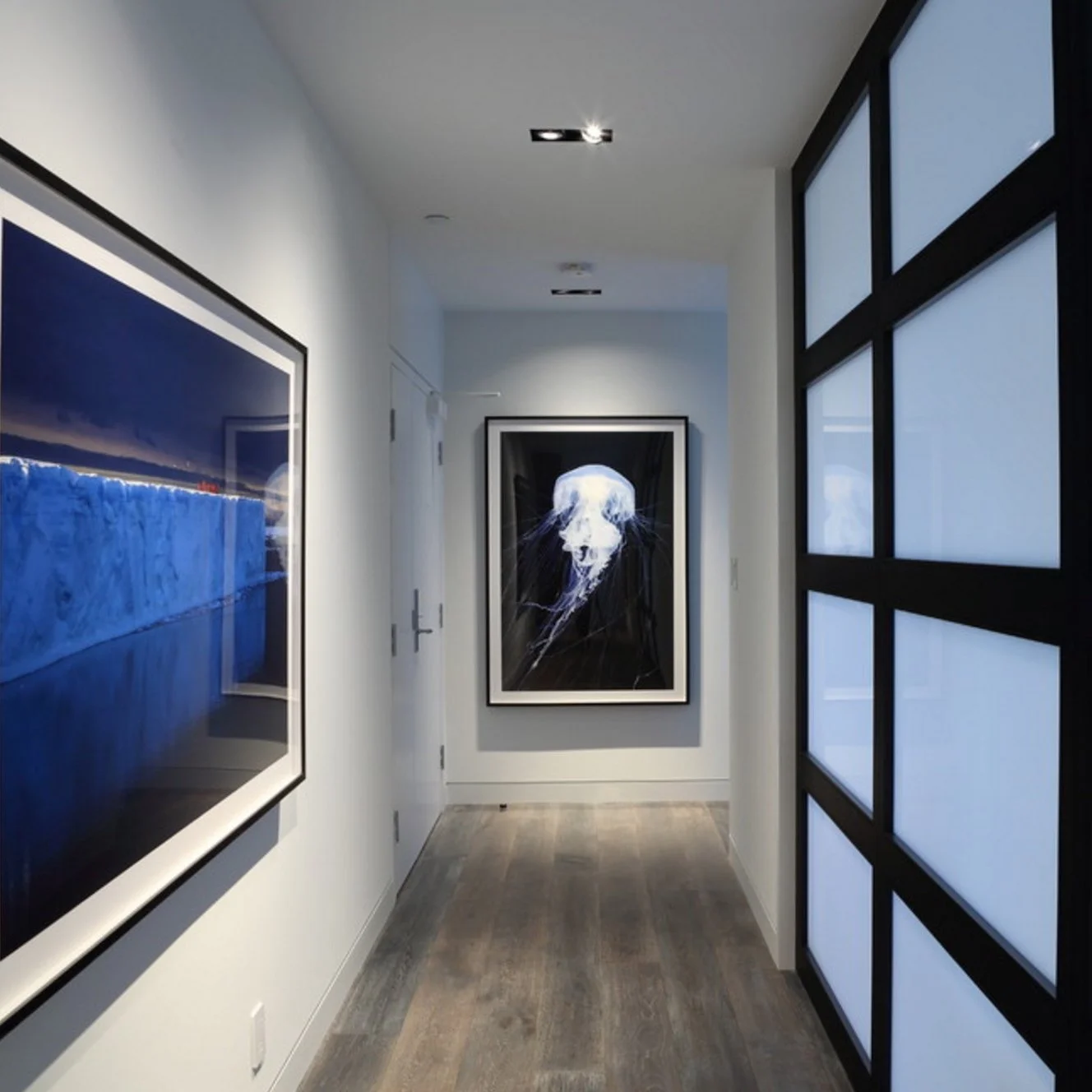 Alexandar Semenov | Jellyfish (Cyanea Capillata)