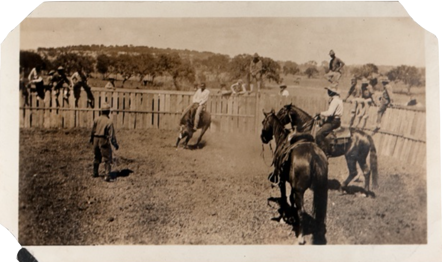 Screenshot 2026-03-05 at 1.12.16 PM.png