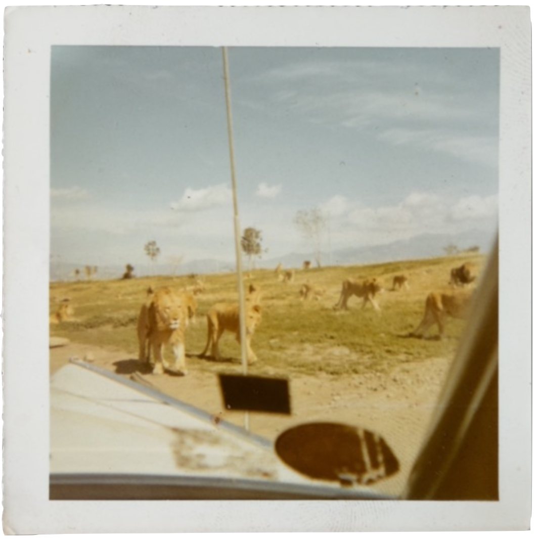 Screenshot 2026-02-05 at 5.29.11 PM.png