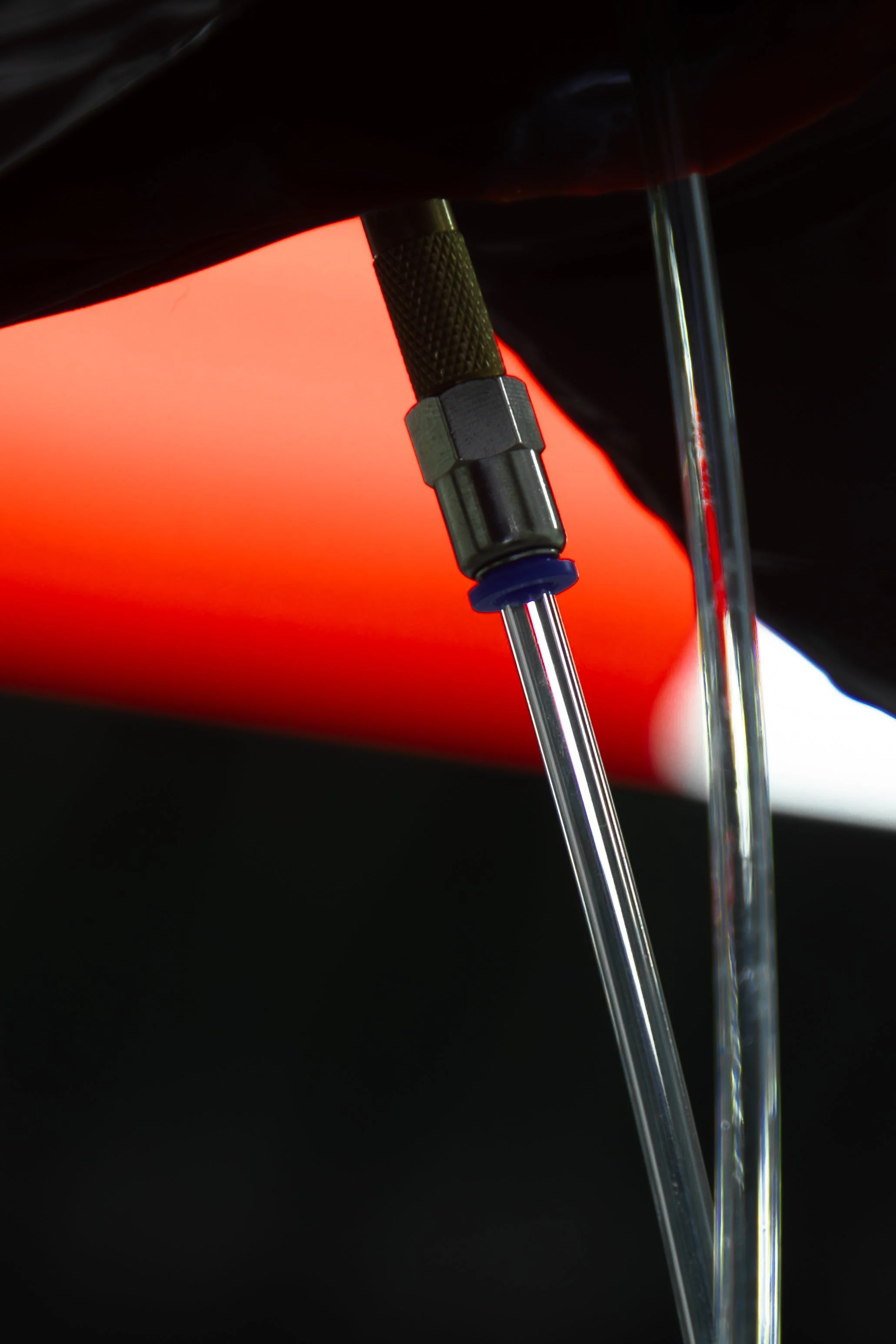 5star_Grad show_JPG (9).jpg