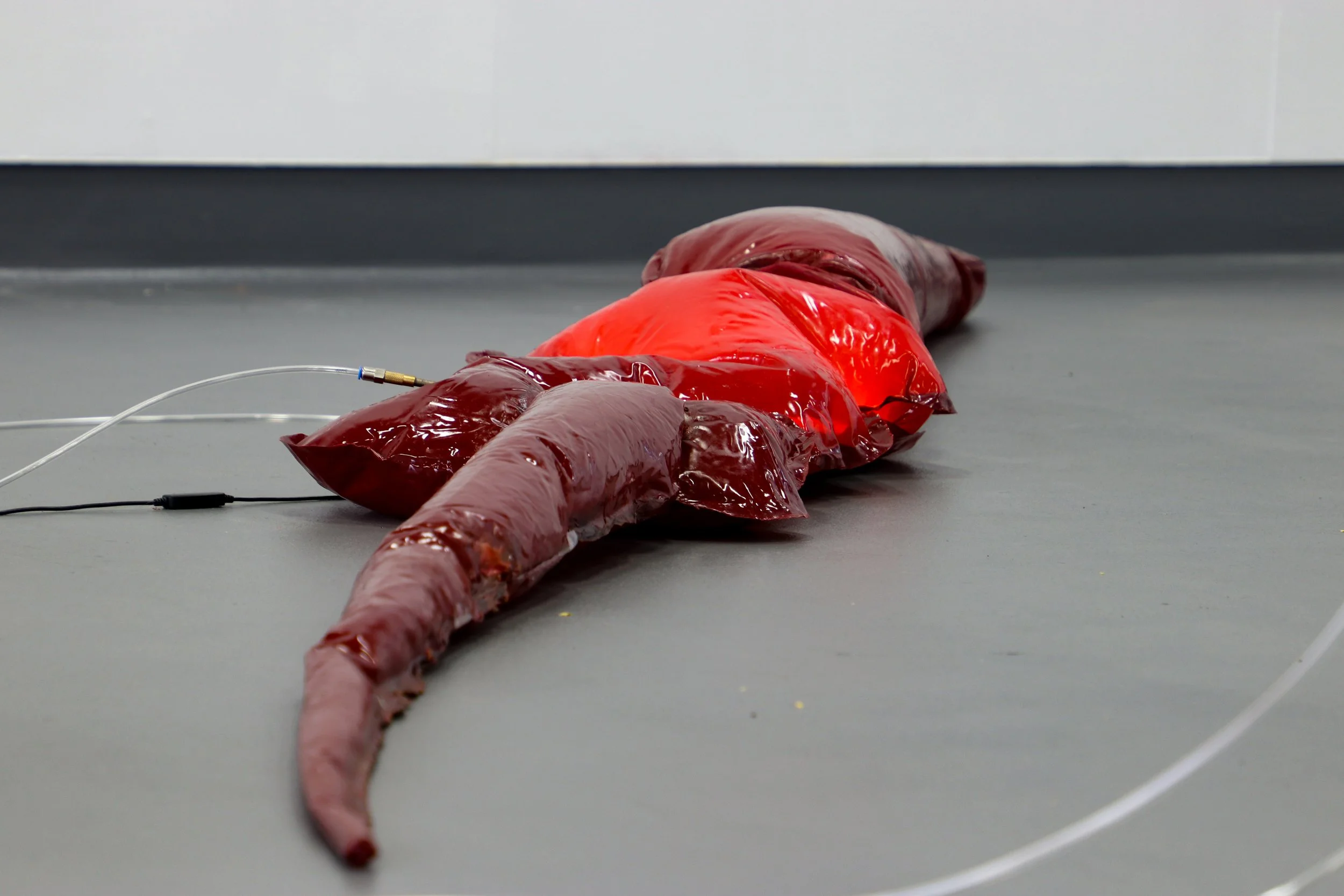 3 Leib, 2025, Inflatable PVC, latex paint, rubber, ring light, plastic tubing, brass & air via pneumatic pump, 250 x 80cm (variable)