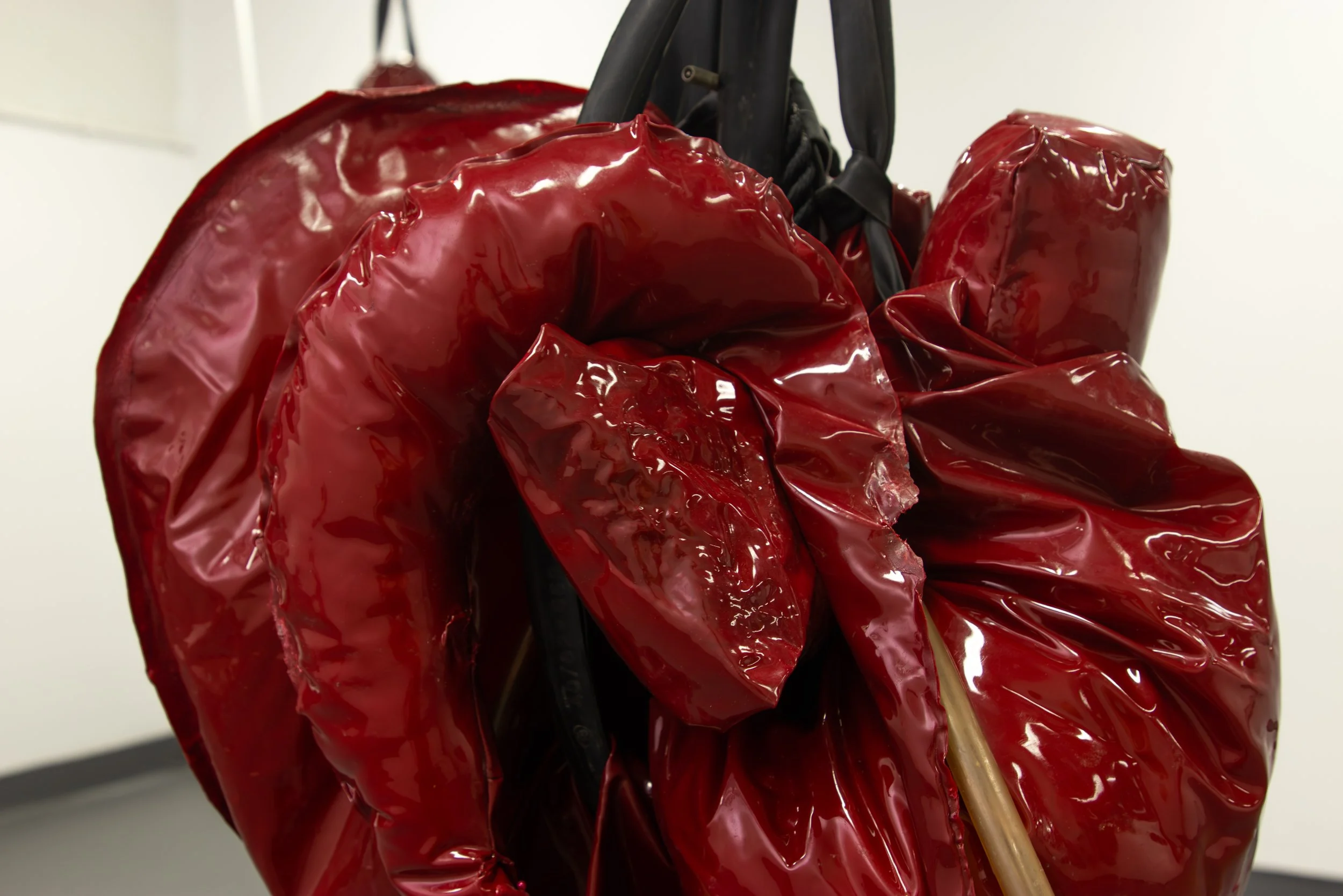 2 Kin, 2025, PVC, nylon rope, plastic tubing, pins, latex paint, rubber, brass & air via pneumatic pump, 120 x 80cm (variable)