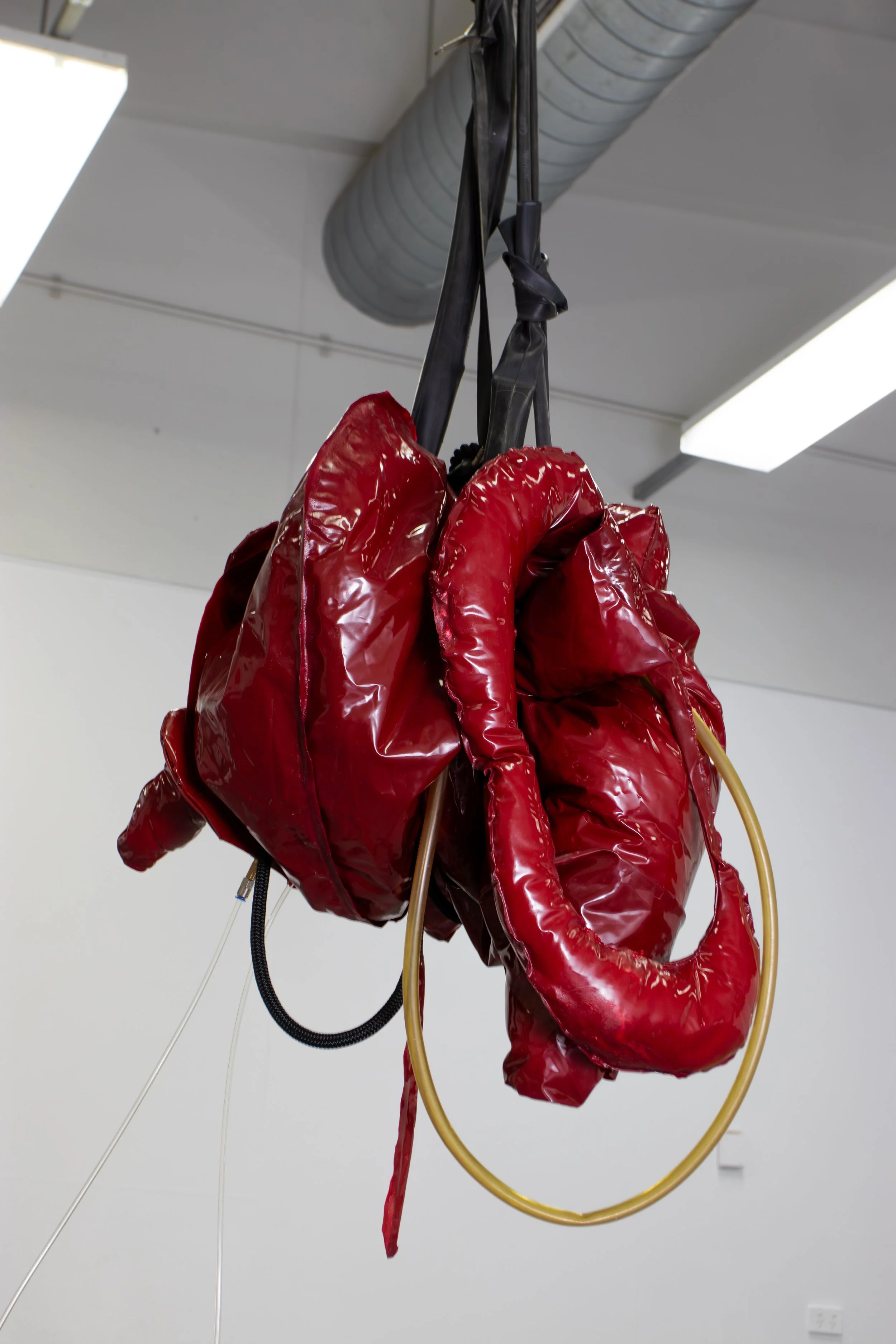 2 Kin, 2025, PVC, nylon rope, plastic tubing, pins, latex paint, rubber, brass & air via pneumatic pump, 120 x 80cm (variable)