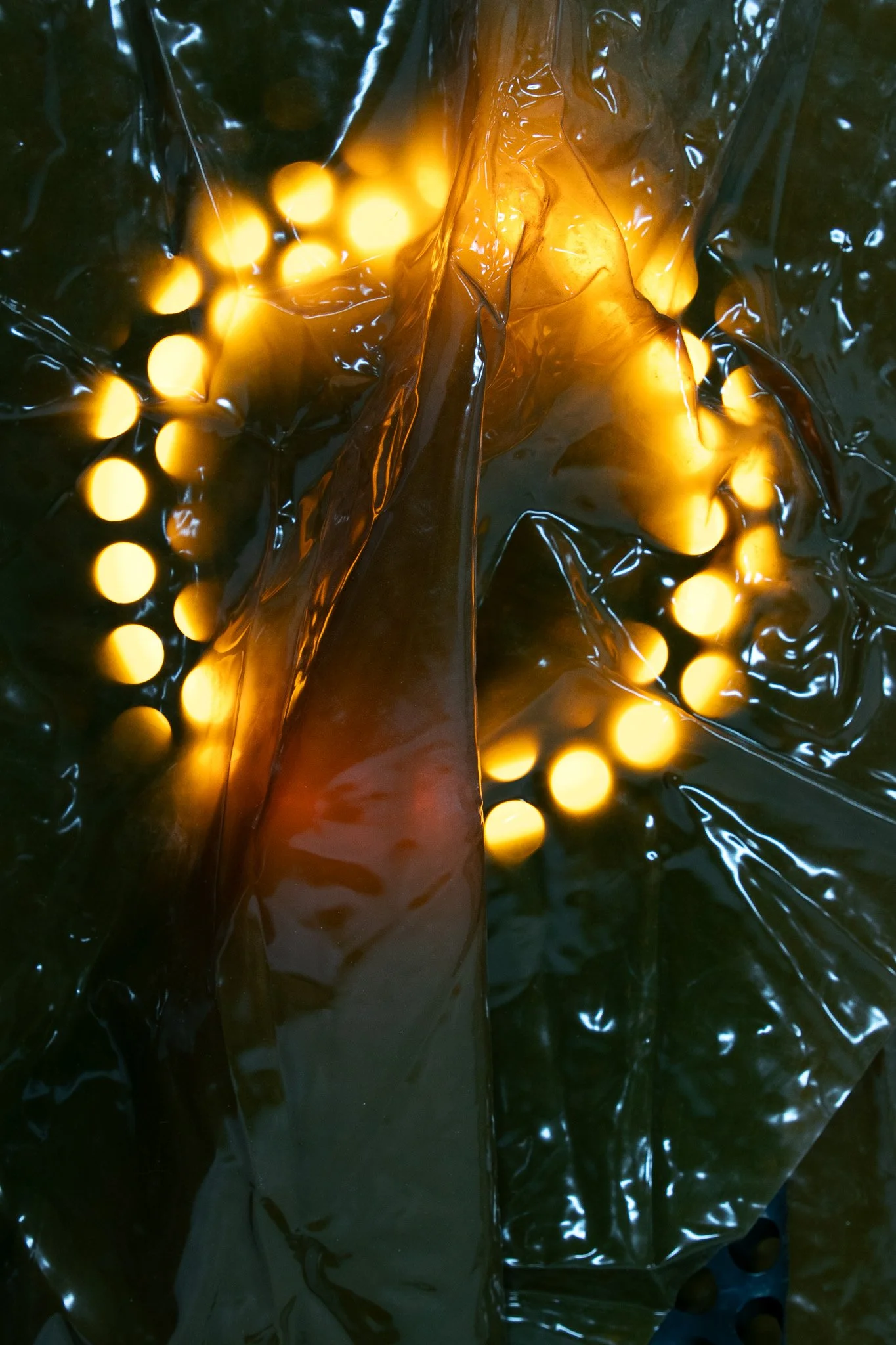 EPIGLOTTIS & Id Hermetic