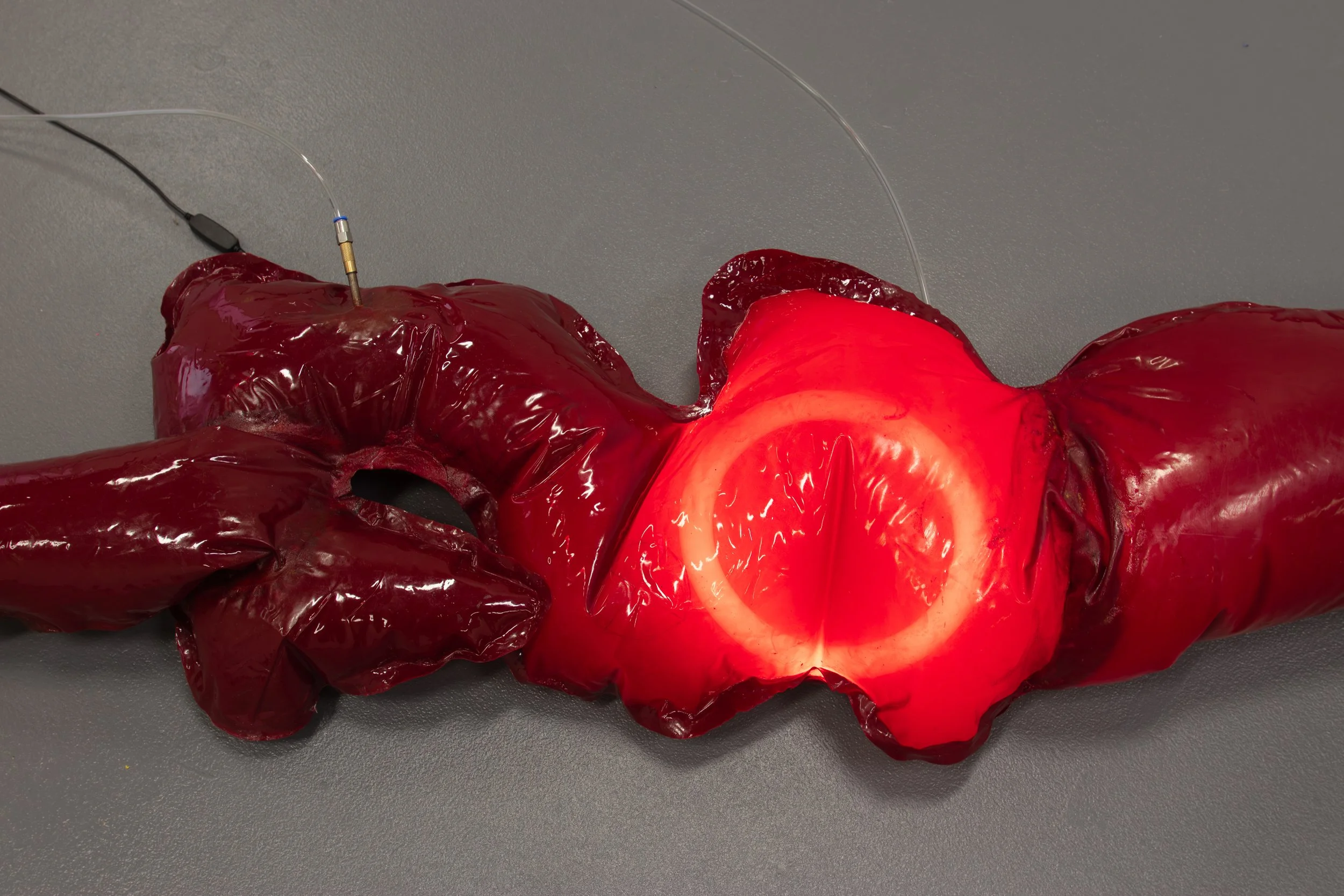 3 Leib, 2025, Inflatable PVC, latex paint, rubber, ring light, plastic tubing, brass & air via pneumatic pump, 250 x 80cm (variable)