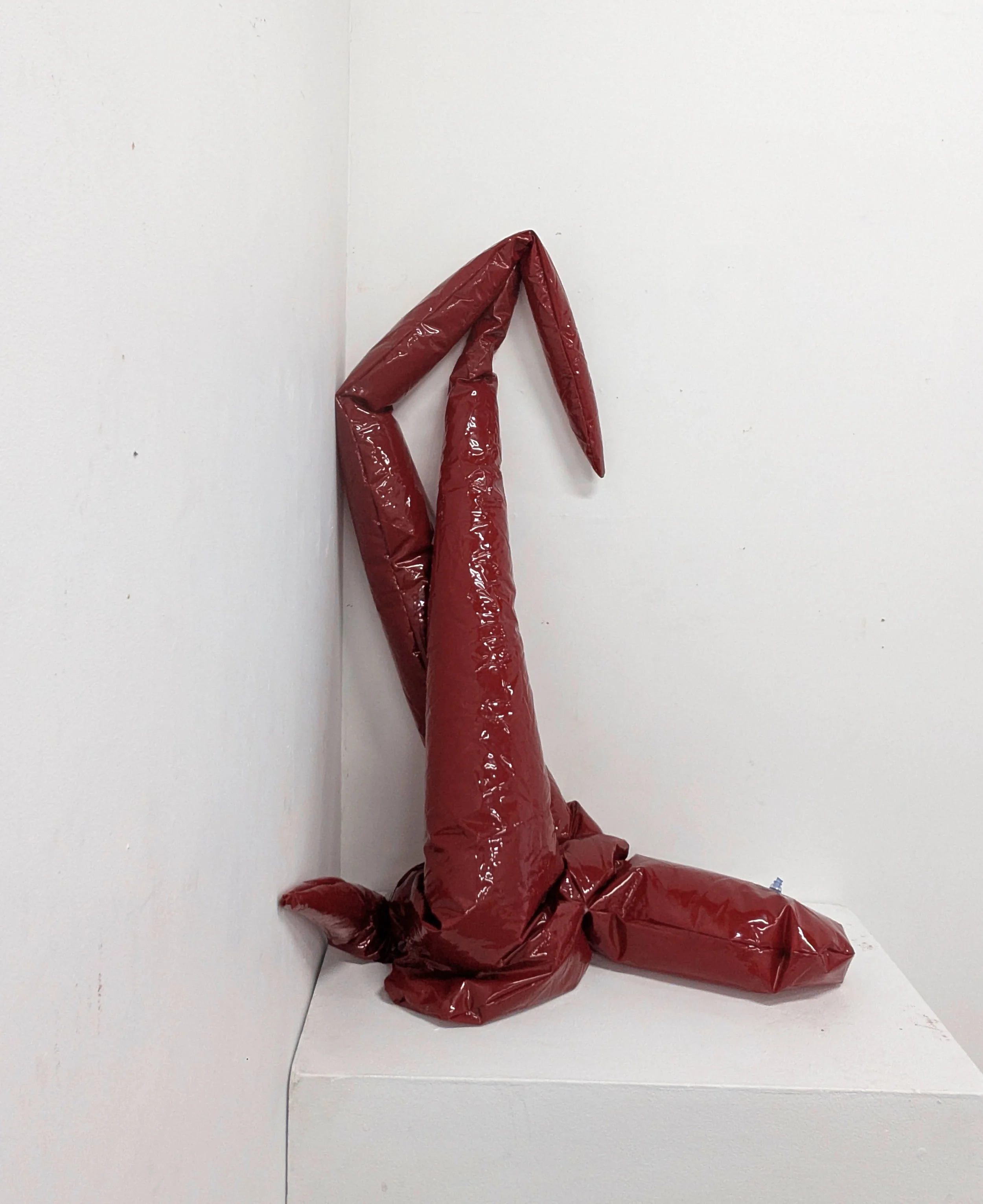 Red series - Form #1 Up Wall 3.jpg