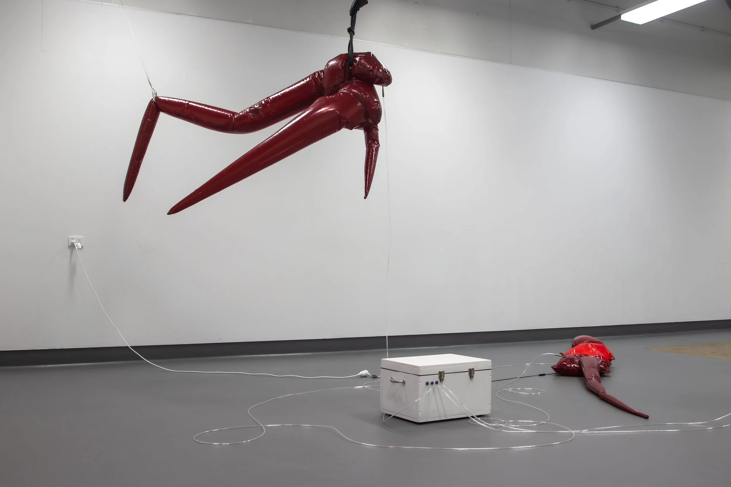 1 Selve, 2025, Inflatable PVC, rubber, latex paint, plastic tubing, brass & air via pneumatic pump, 200 x 60cm (variable)