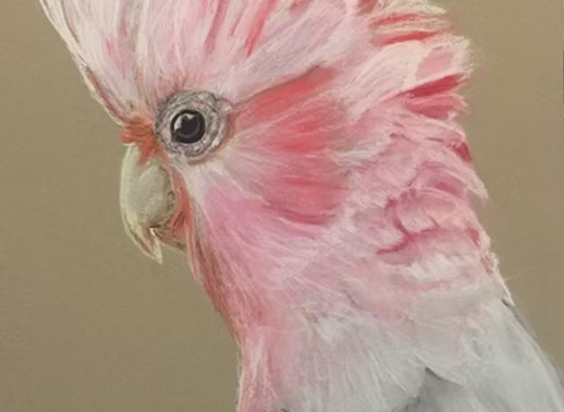 Alfie by Ash Jeeloll