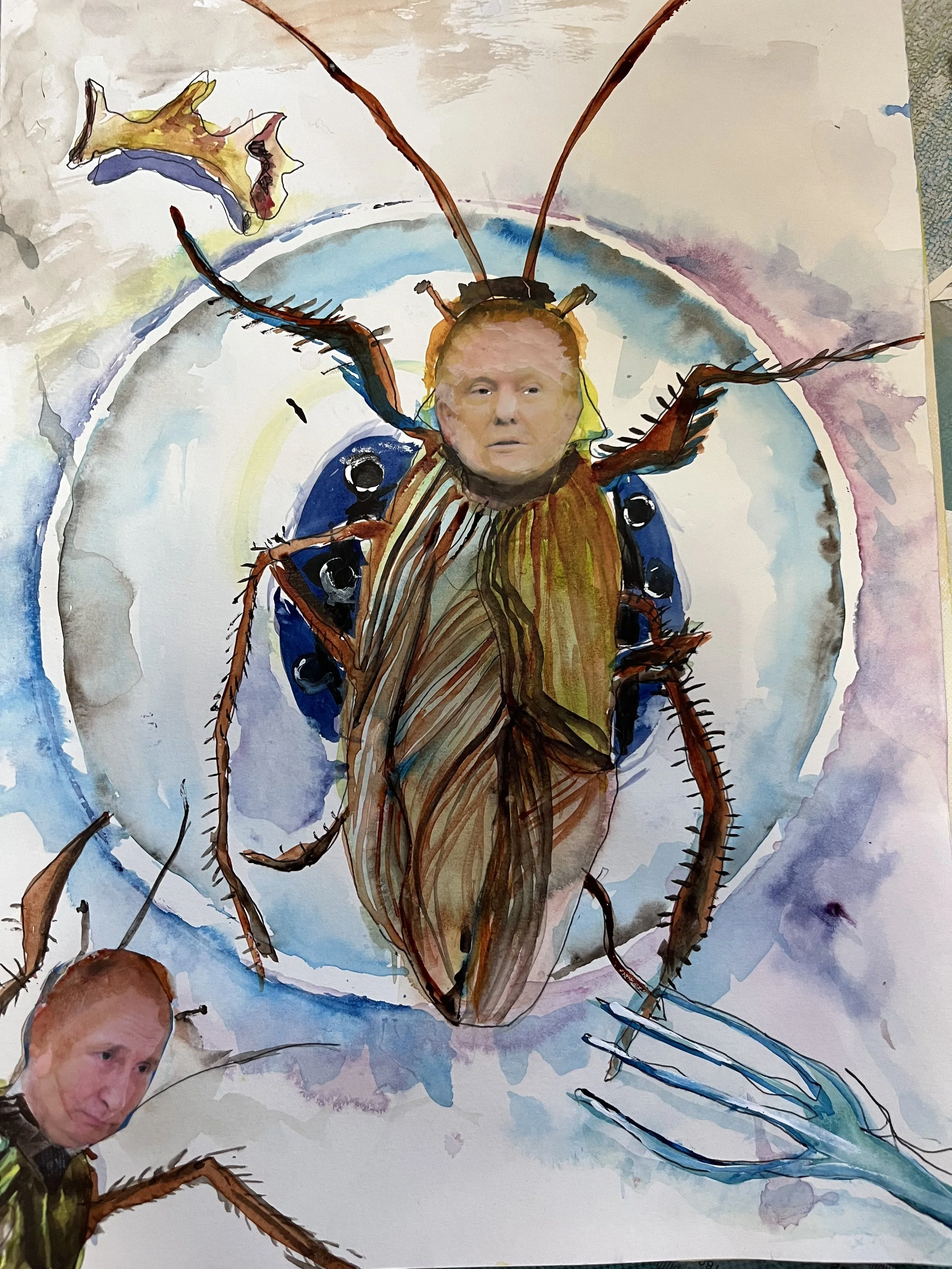 Ann Rosalind Evans, American Cockroach, 2026, watercolour and collage
