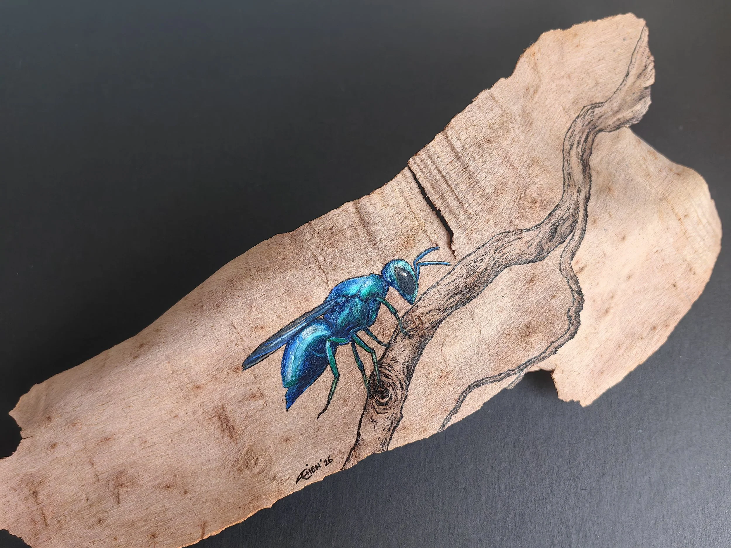 Ai Chen Lee, Cuckoo Wasp, 2026, mixed media on board