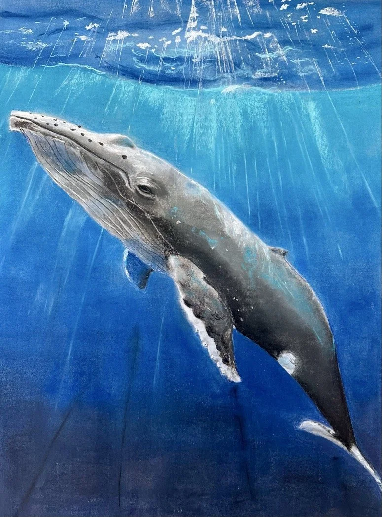 Melvin Shaju, Where deep meets dawn, 2025, pastel.