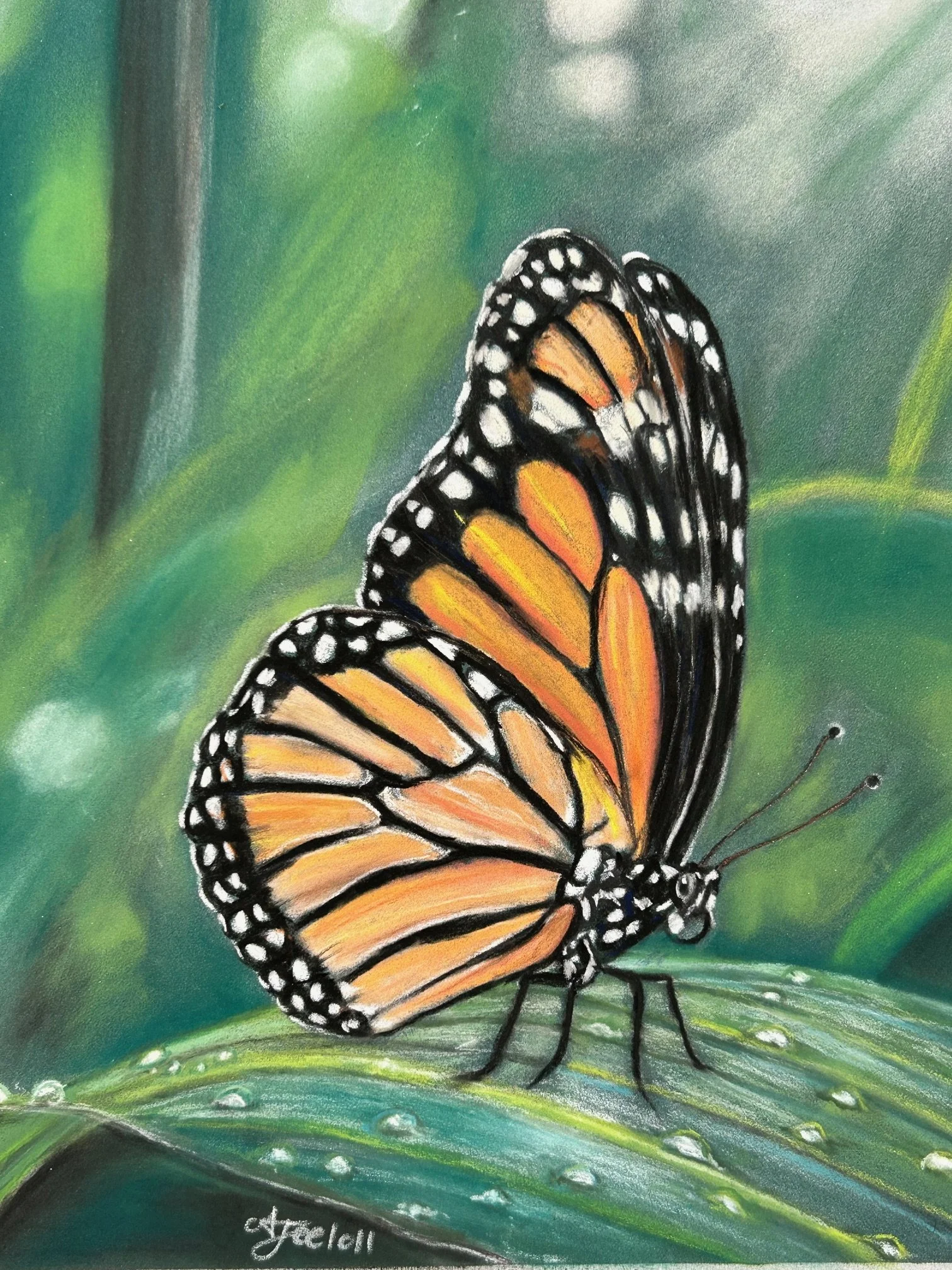 Ash Jeelooll, Wings of the Forest, 2026, pastel on paper