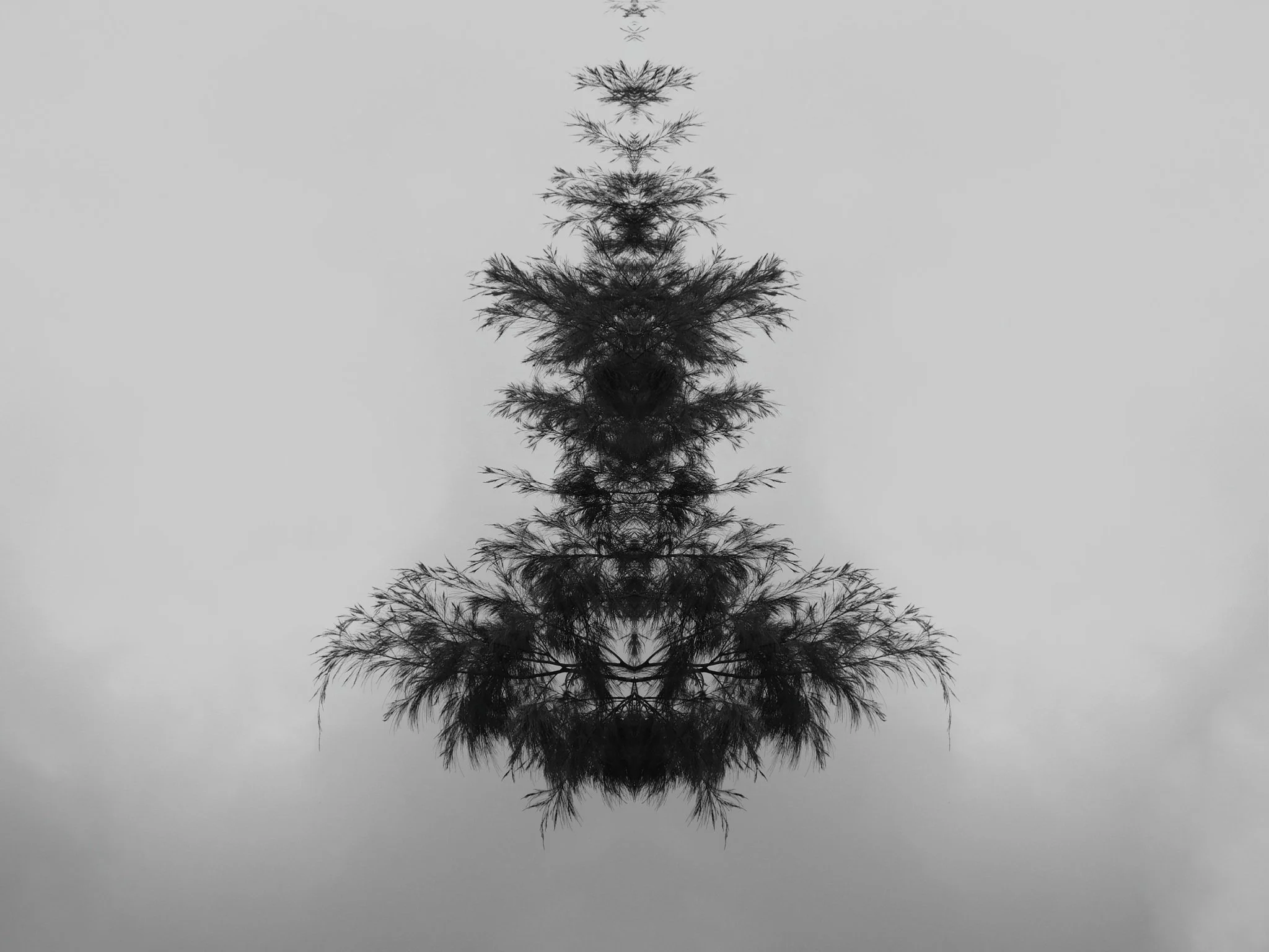 Chandelier by Nadya Doubell