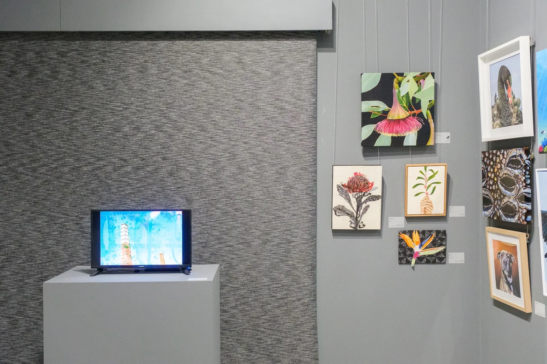 WEB Ellenbrook Art Awards 2022 89.jpg