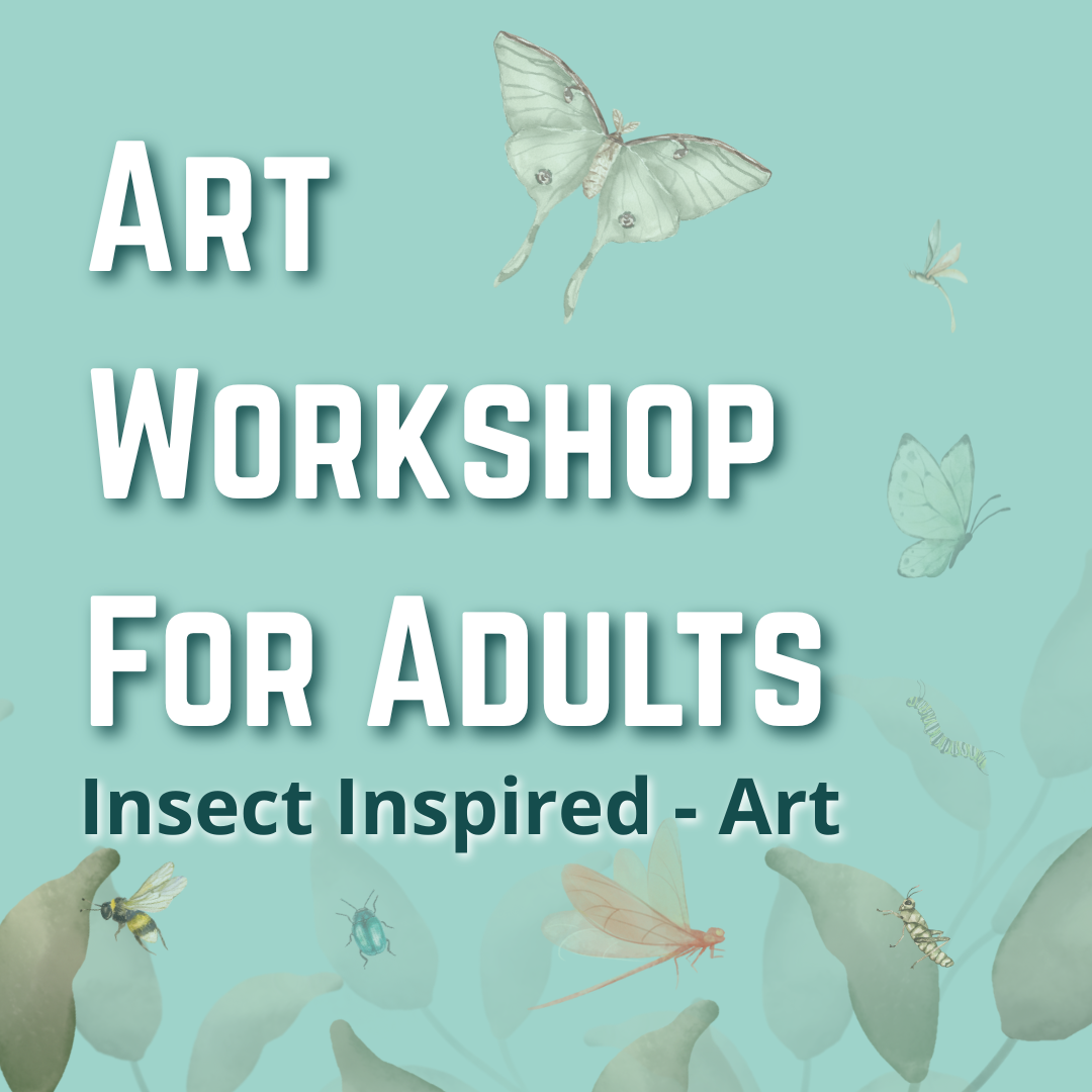 Art Workshop for Adults