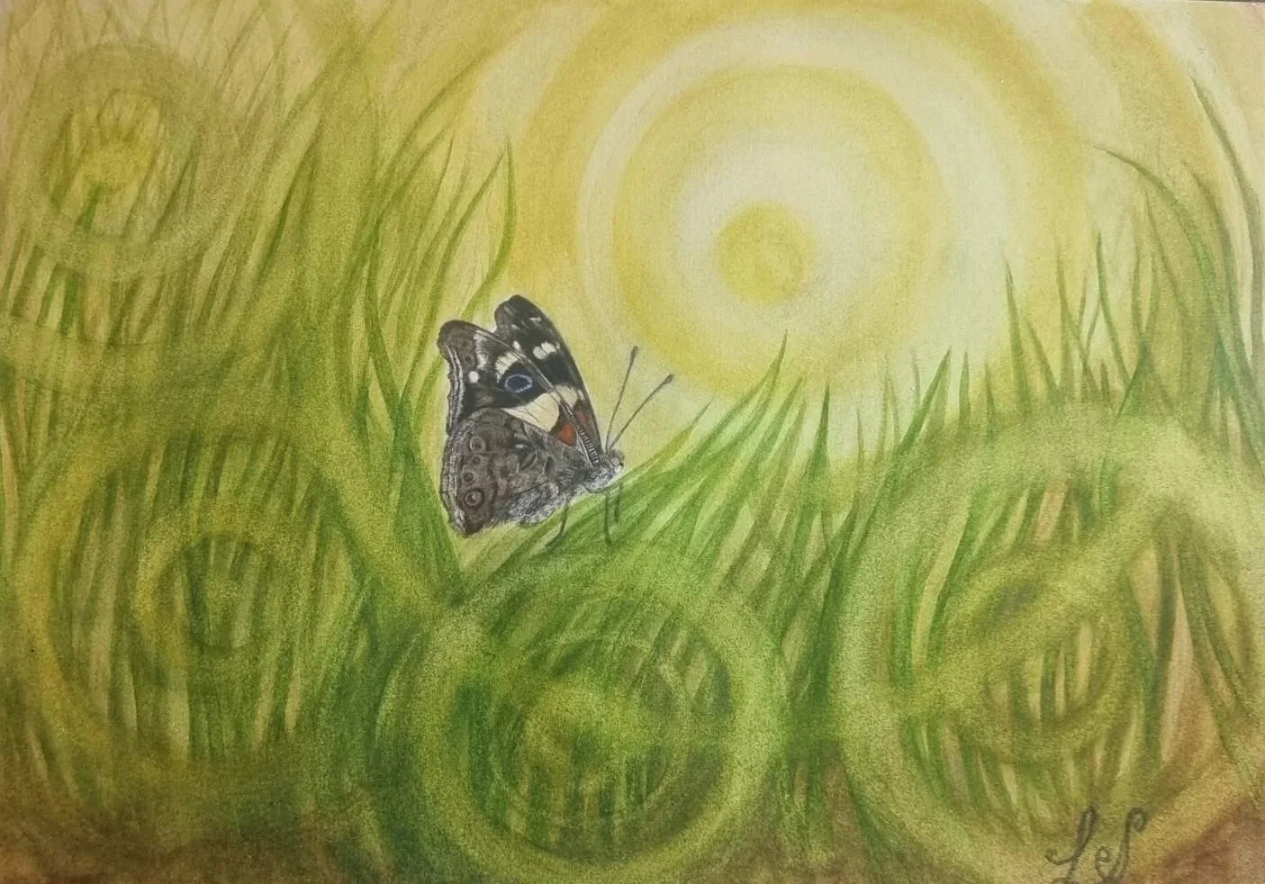 Linda Artemisia, Yellow Admiral, 2026, watercolour