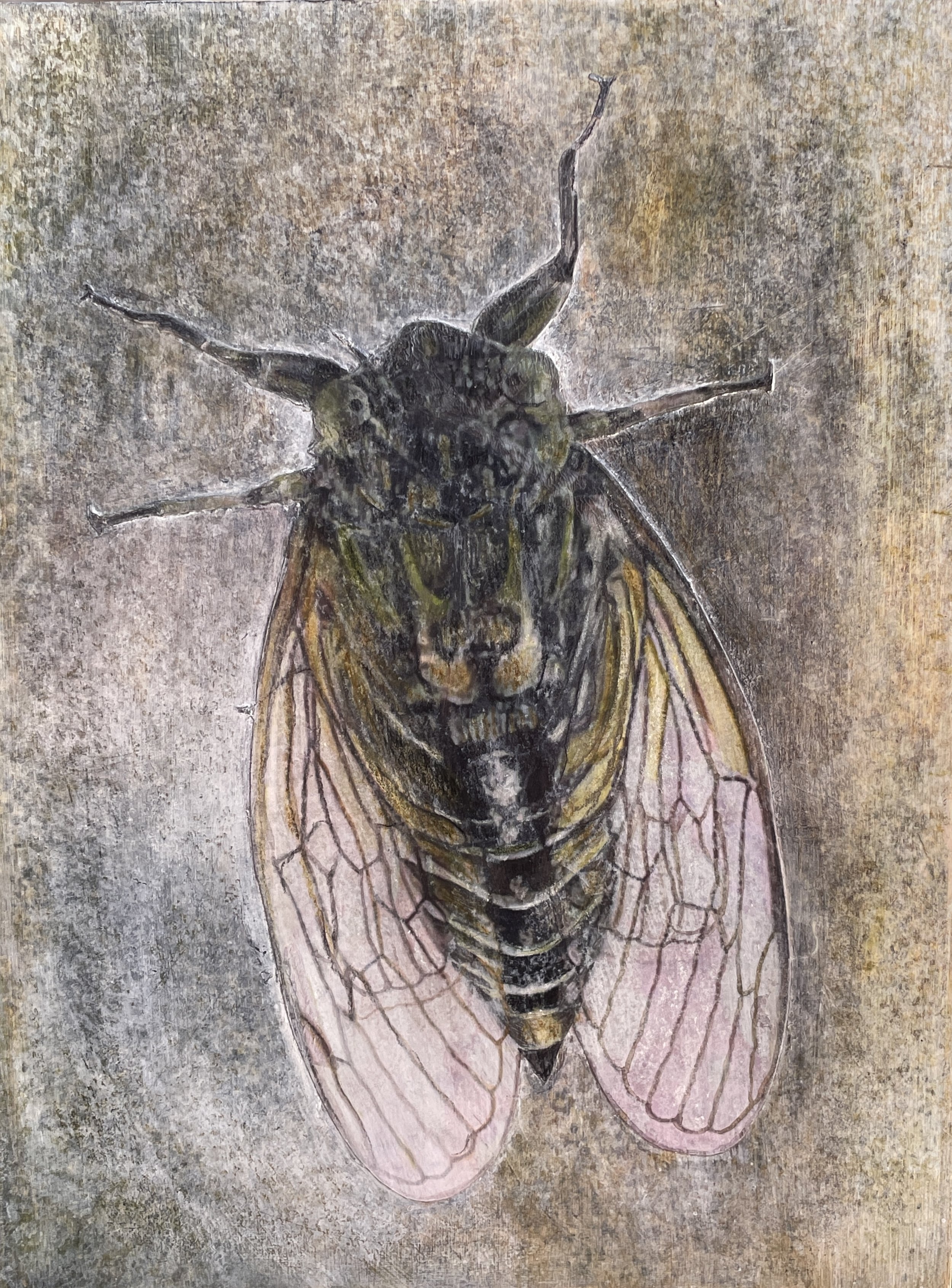 Gina Kitchen, Tick Tock (Sounds of Summer), 2026, mixed media on board