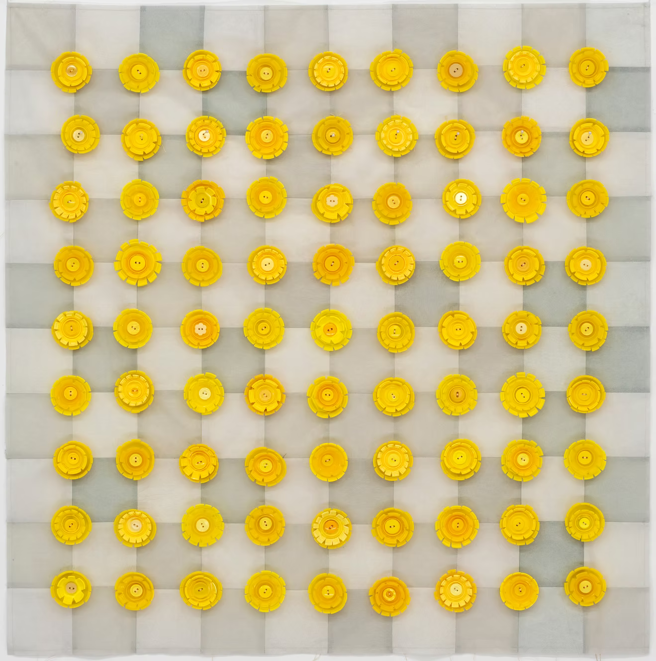 ENDANGERED! Showy Everlastings by Margery Goodall 